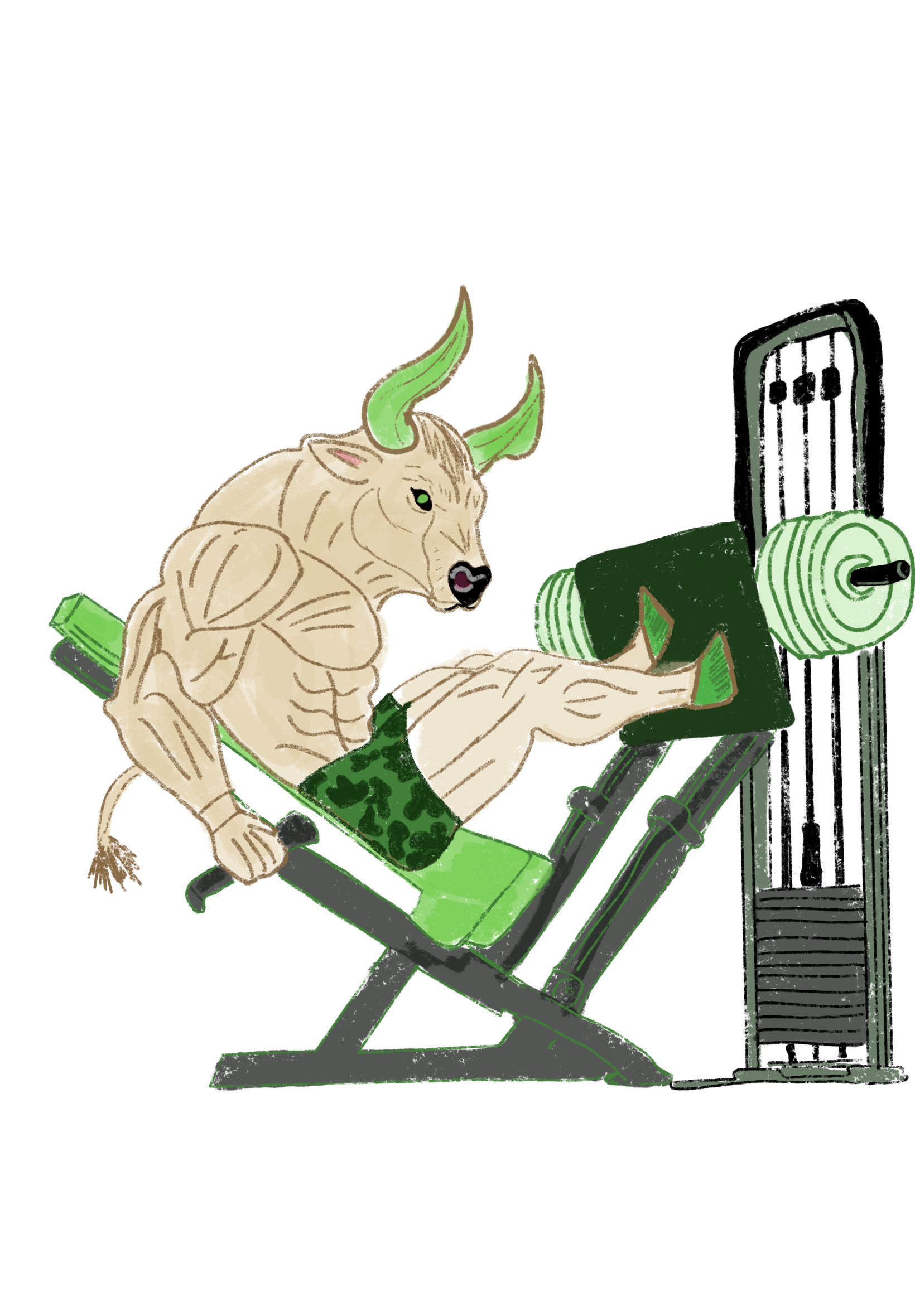 Taurus2.png