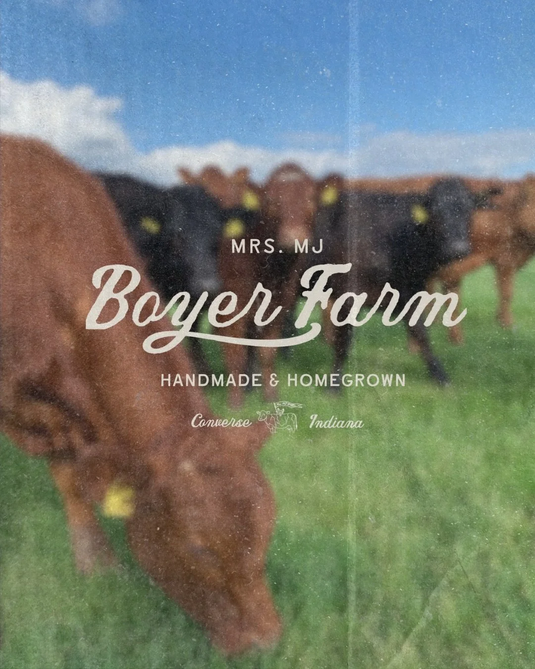 brand reveal // @mrs.mjboyerfarm 🐄 a brand rooted in a slower, simpler life. 

we wanted the brand identity to capture a slower, more intentional way of living and vintage farm influence - nostalgic without feeling overly polished. 

the direction w