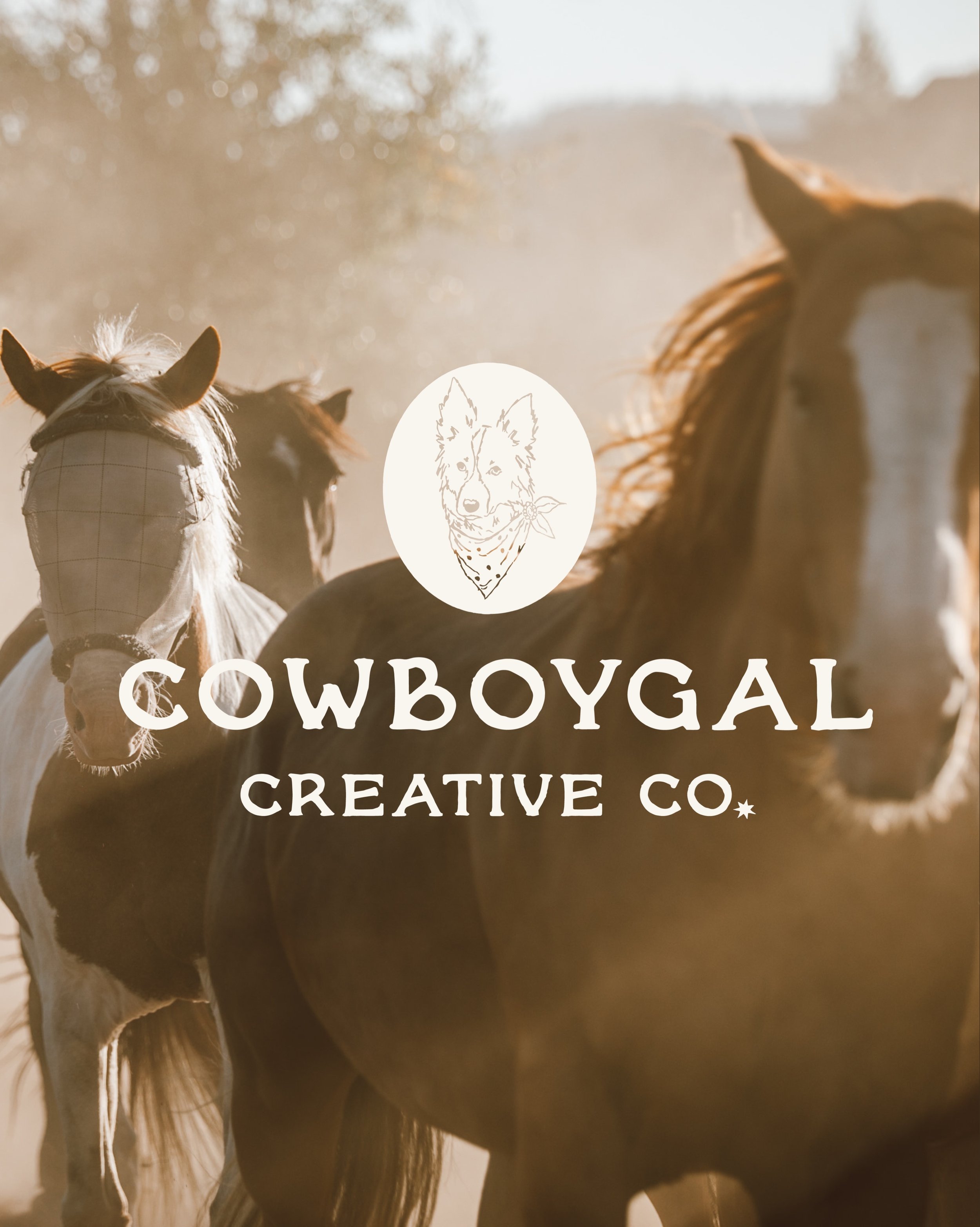brand reveal // Cowboygal Creative Co. ✷
a little rebrand for @tinystoriesphotography 

a brand rooted in creative grit and the freedom to do things a little differently. Caroline really wanted her brand to feel a little rugged and imperfect, while s