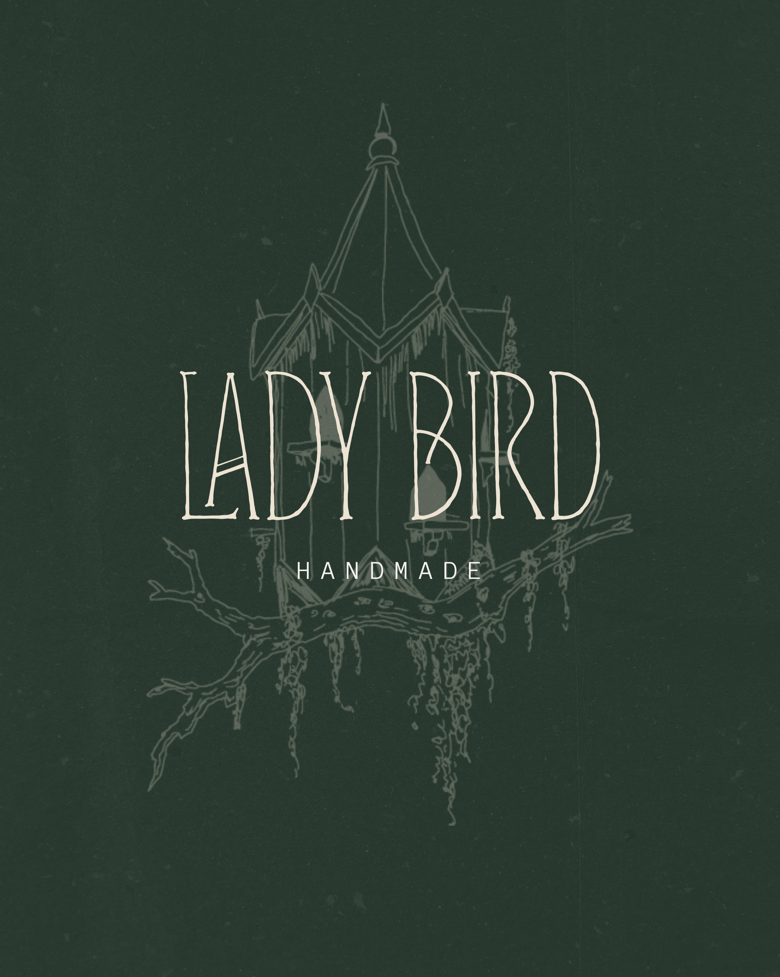 brand reveal // @wearladybird 

brookes inspo wasn't centered around specific logos or design elements, it was a collection of imagery that evoked a feeling. inspired by weathered lace, winding creeks, spanish moss, romantic yet slightly haunting and