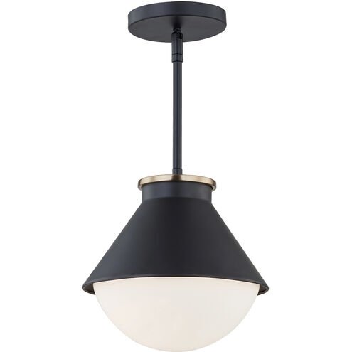 outdoor pendant