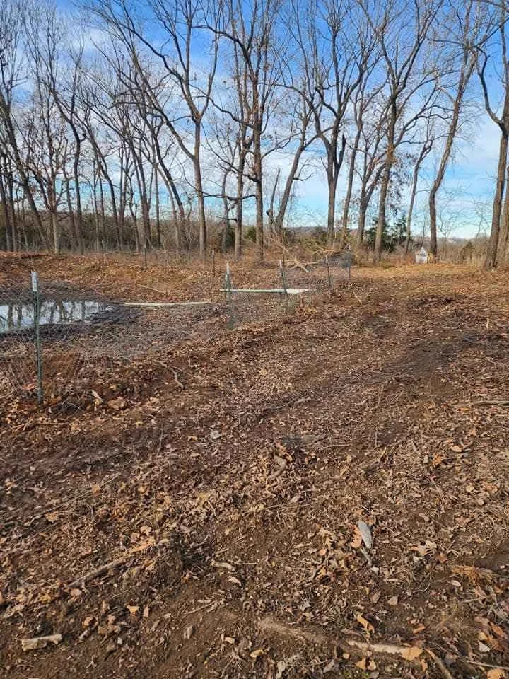Ground leveled after clearing out trees