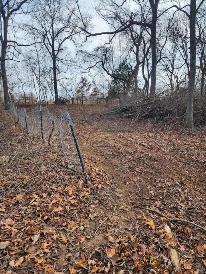 Old trees piled up after clearing land