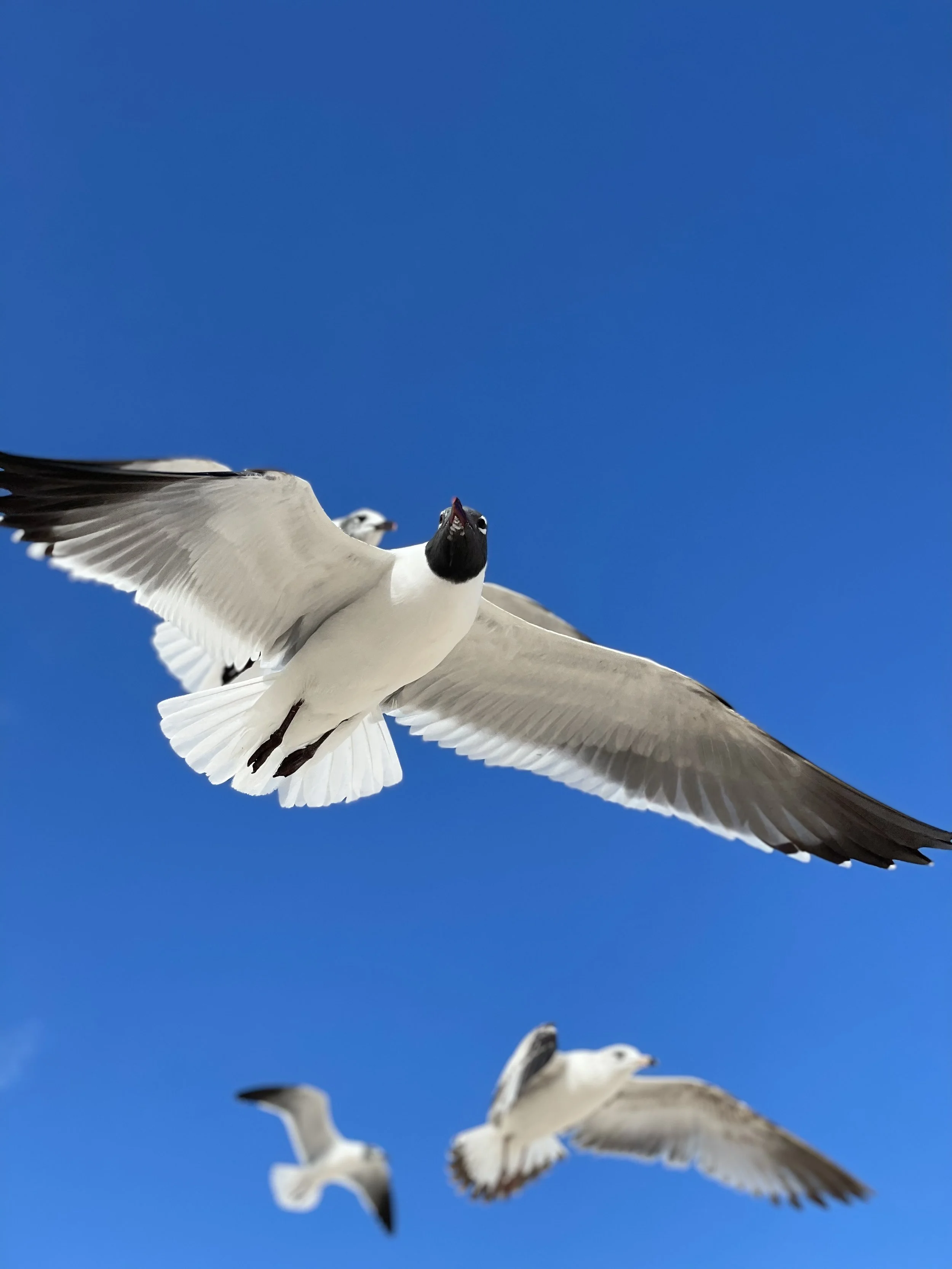 IMG_8610.jpeg