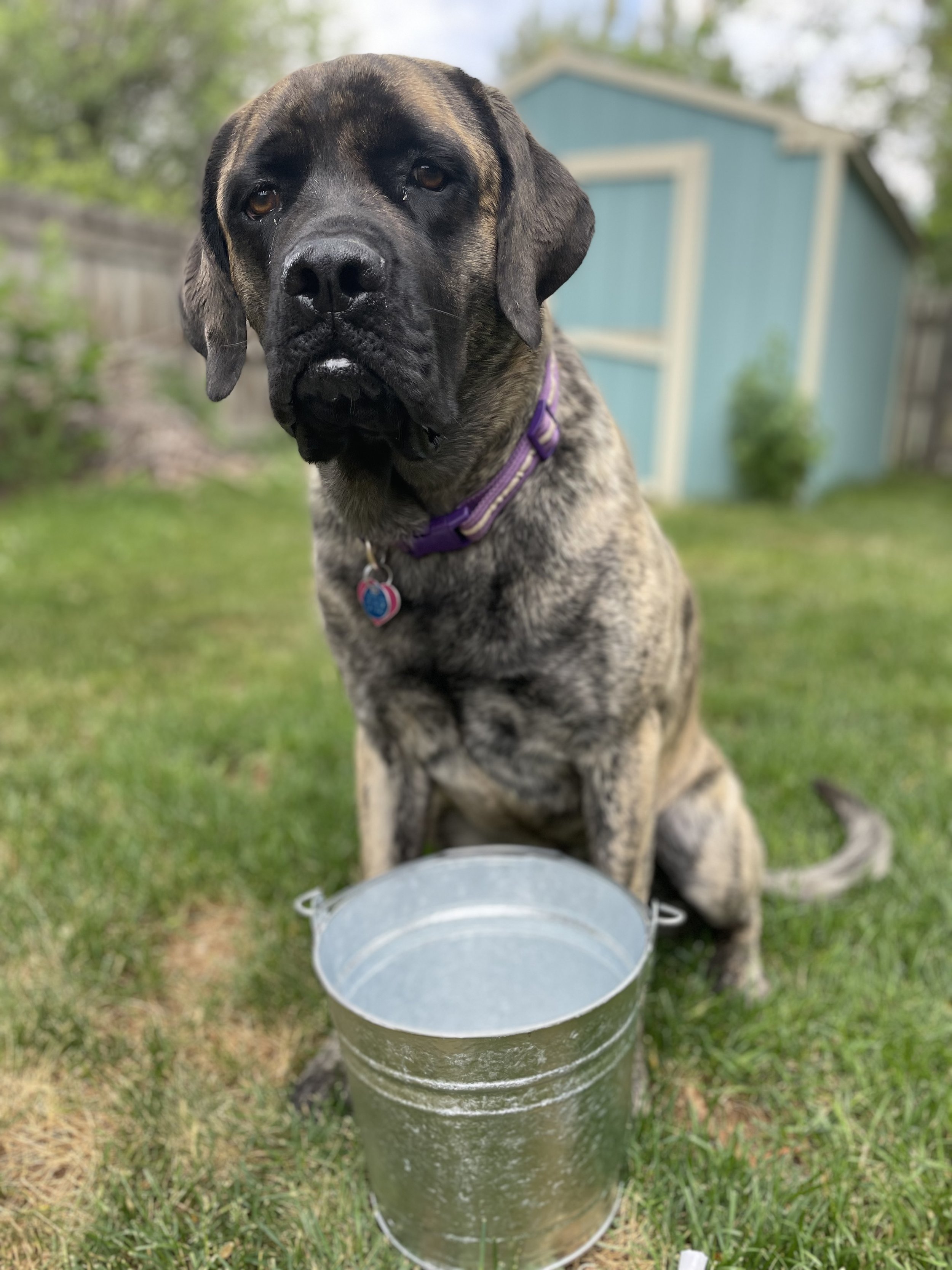 IMG_0929.jpeg