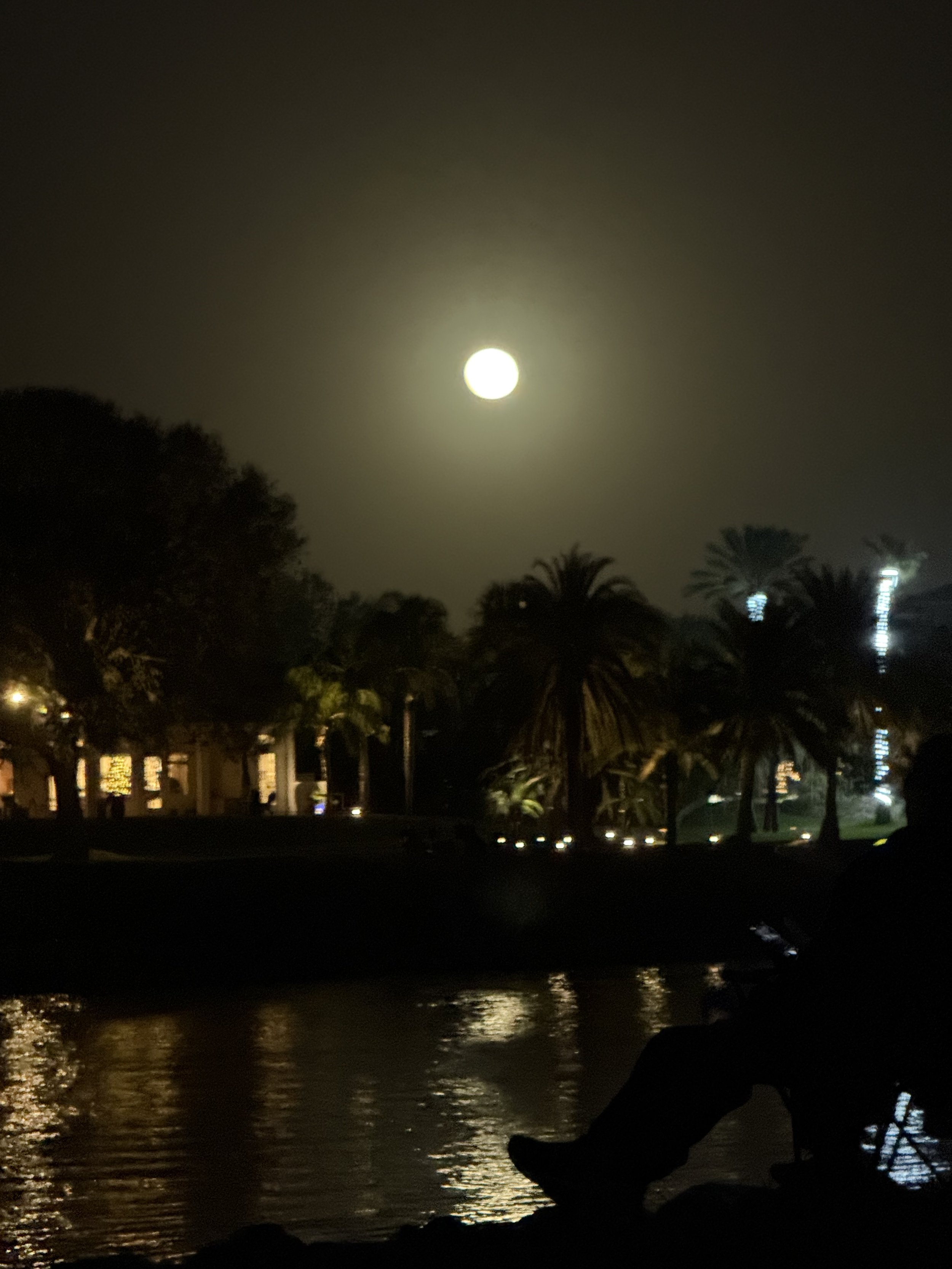IMG_4546.jpeg