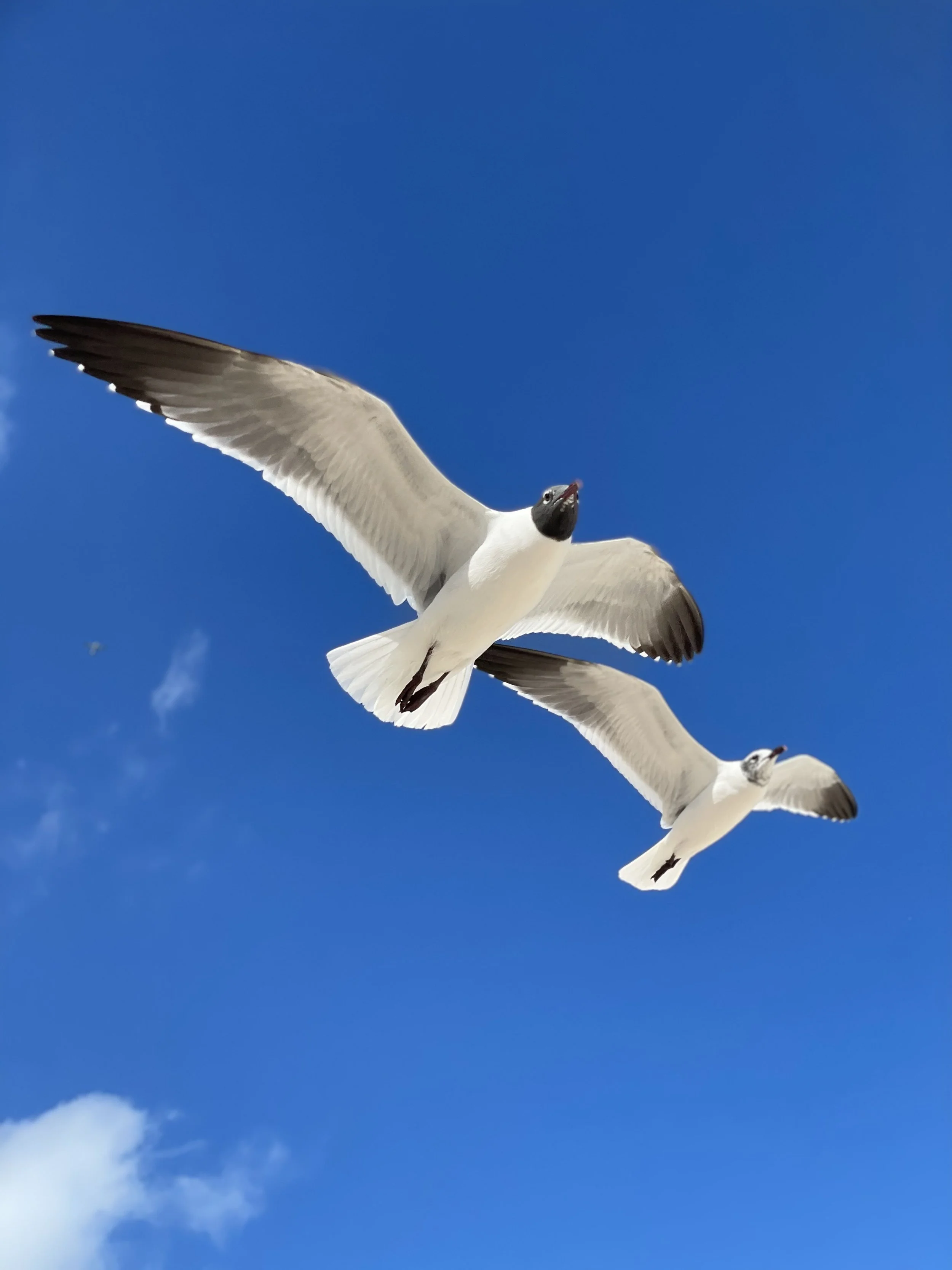 IMG_8613.jpeg