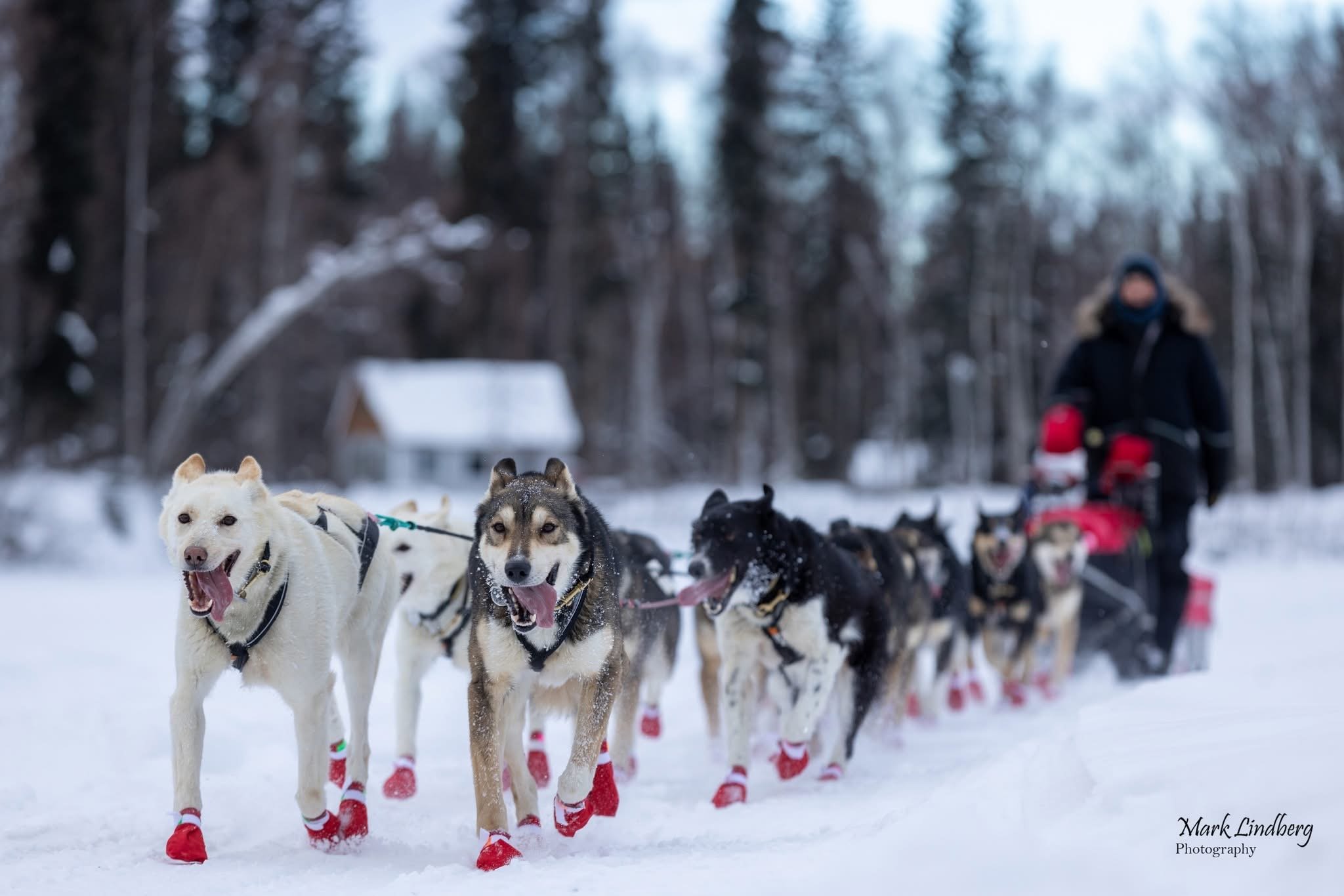 Where Grit Meets Ice: A Quest Worth Sponsoring