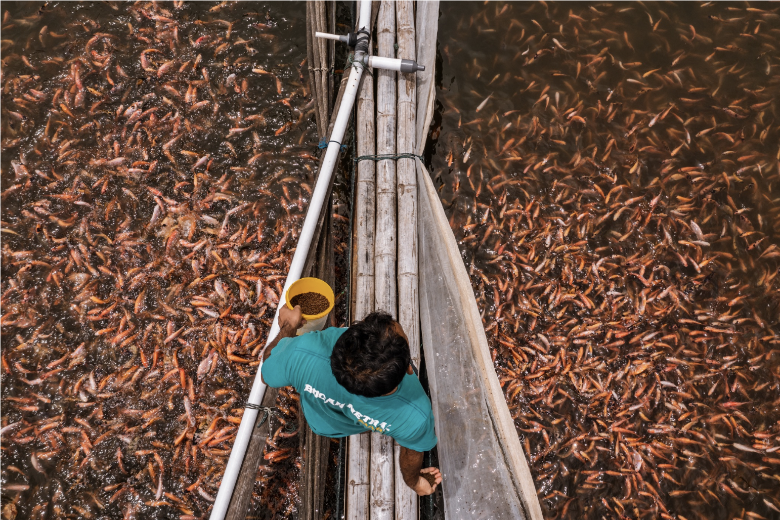 Farming the Waters