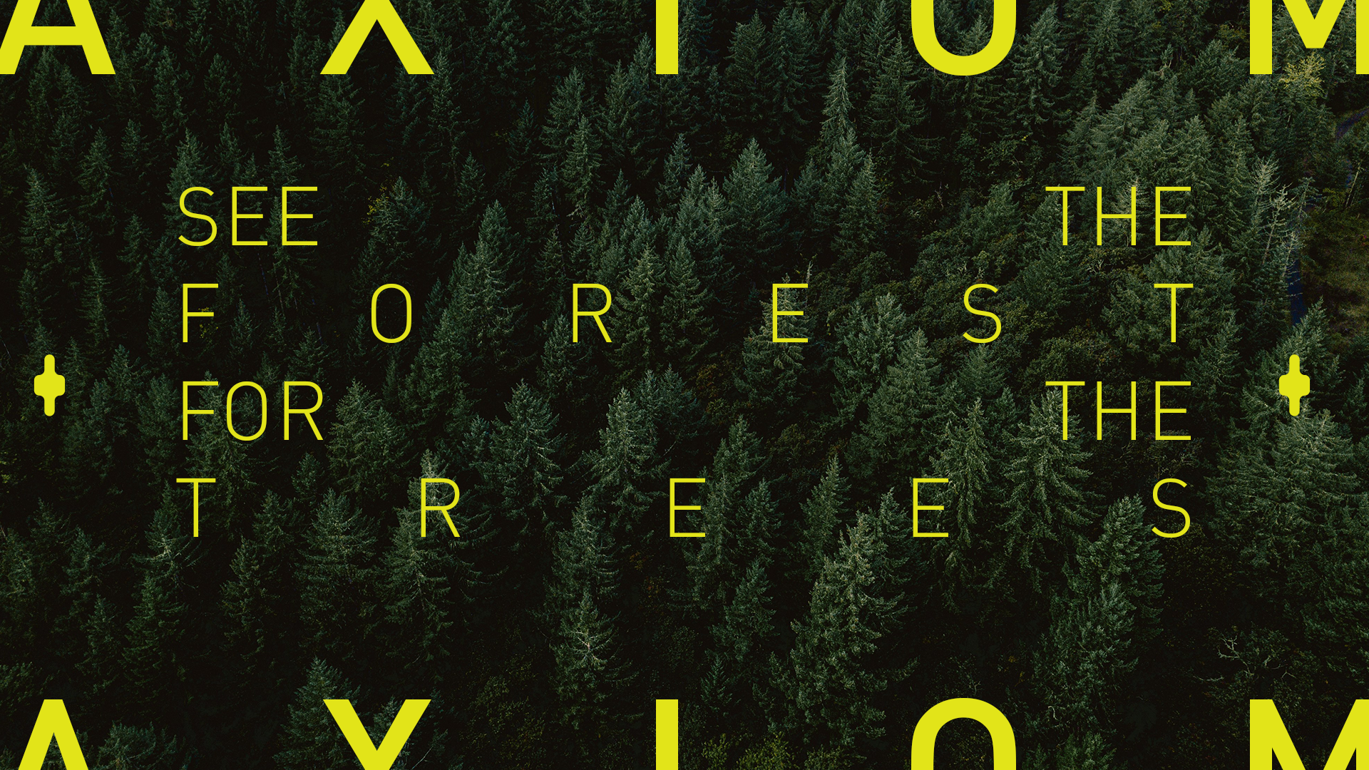 An aerial view of a dense forest with tall evergreen trees, overlaid with yellow text that reads: 'See the forest for the trees' over a dark green background.