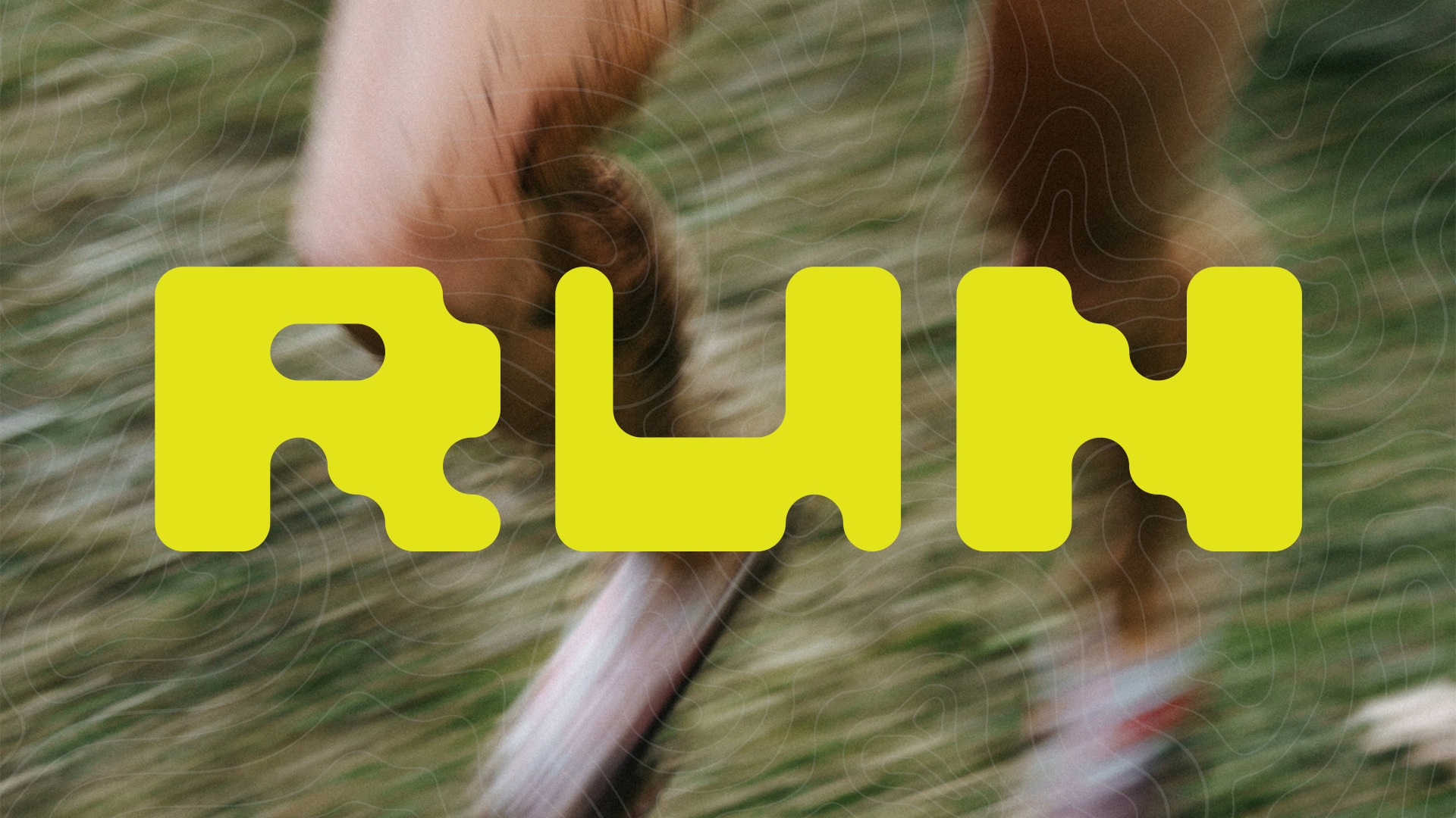 Close-up of a bird's beak and eye with blurred grass background, overlaid with the word 'RUN' in large yellow text.