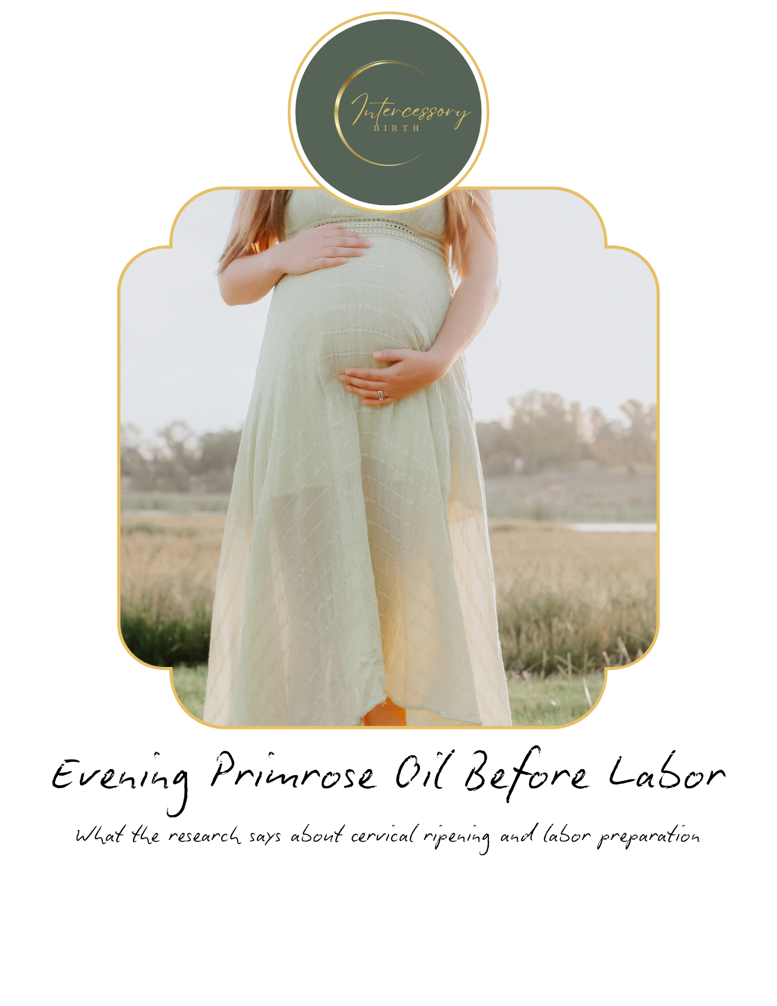 Evening Primrose Oil.png