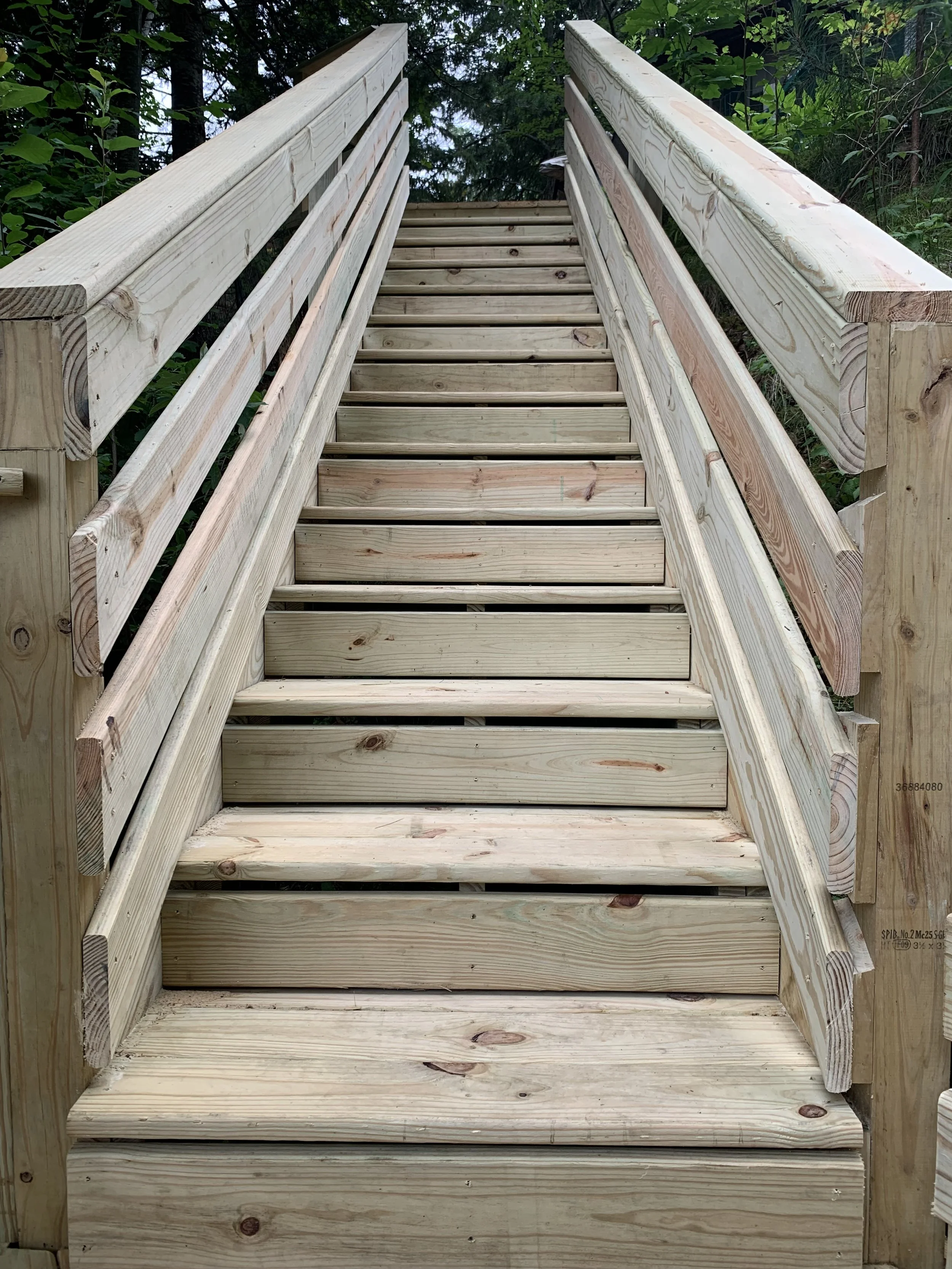 Wooden outdoor staircase with handrails, ascending through a green, wooded area.