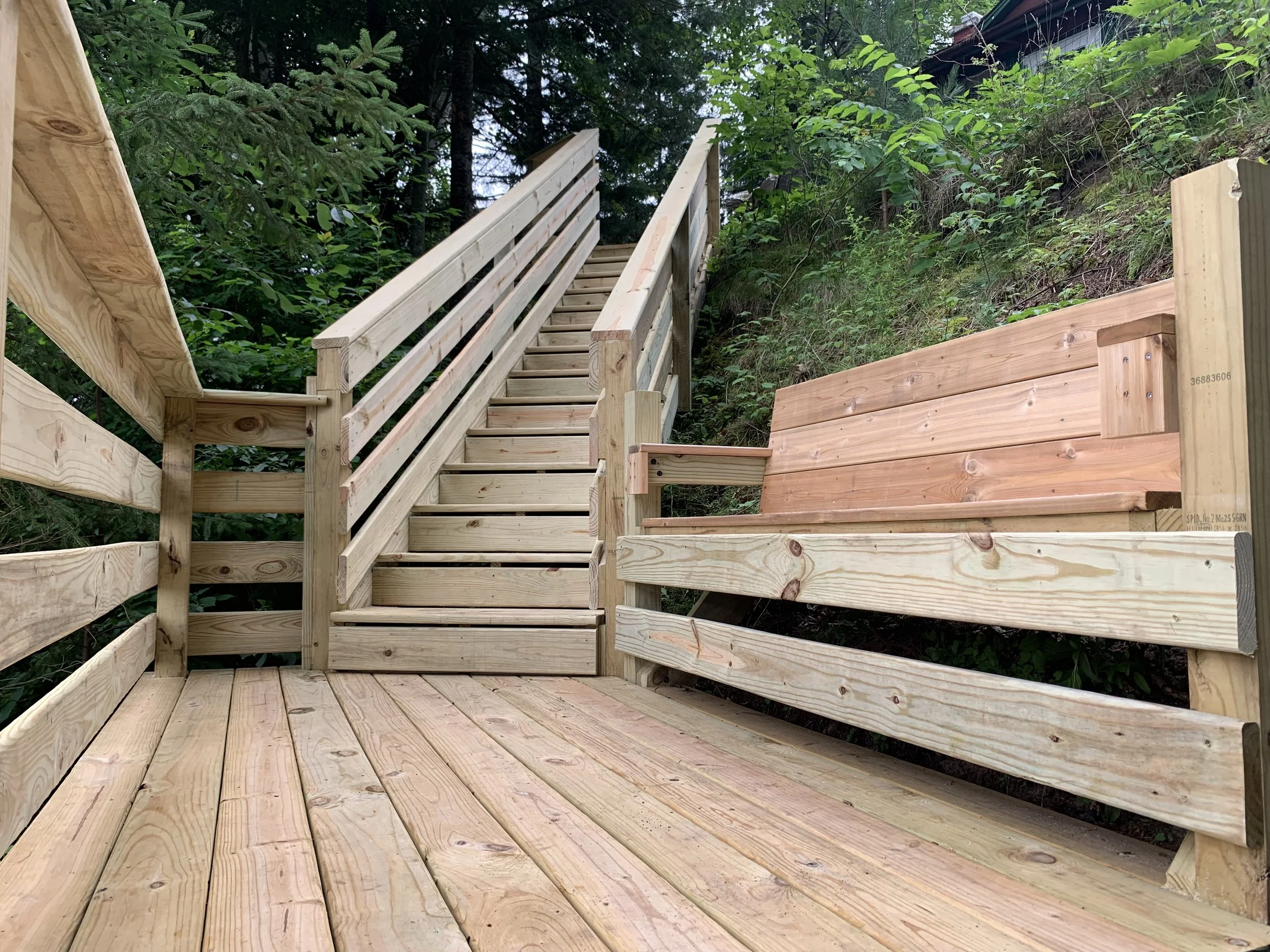 Newly built wooden staircase with handrails leading up a hillside surrounded by trees and green foliage.