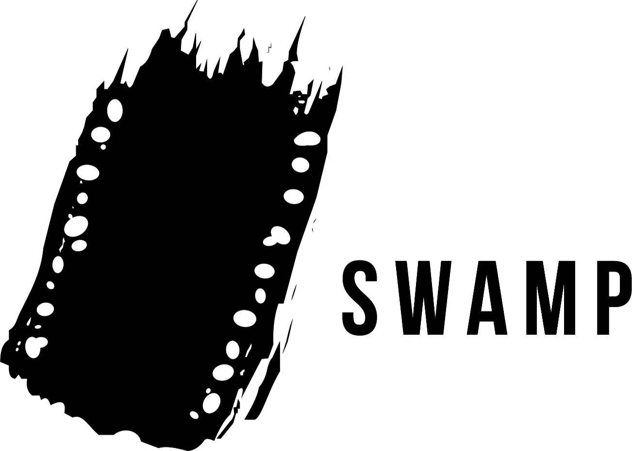 SWAMP | Supporting Independent Filmmakers with Workshops \u0026 Events, image size:1302x928