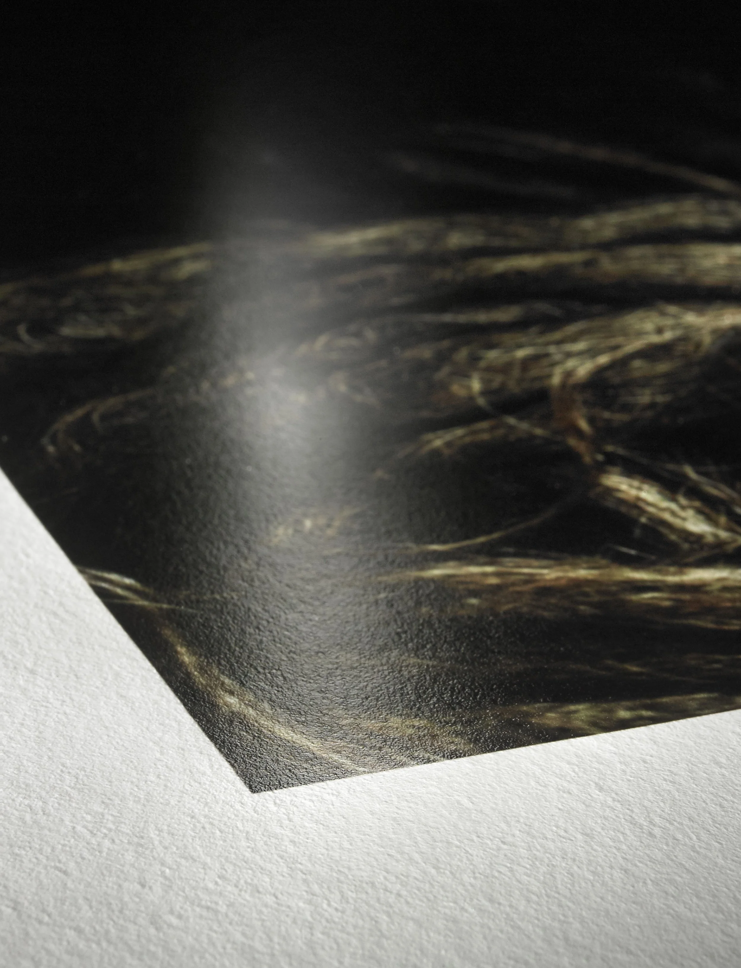 Hahnemuehle_Detail_Photo_Rag_Baryta.jpg