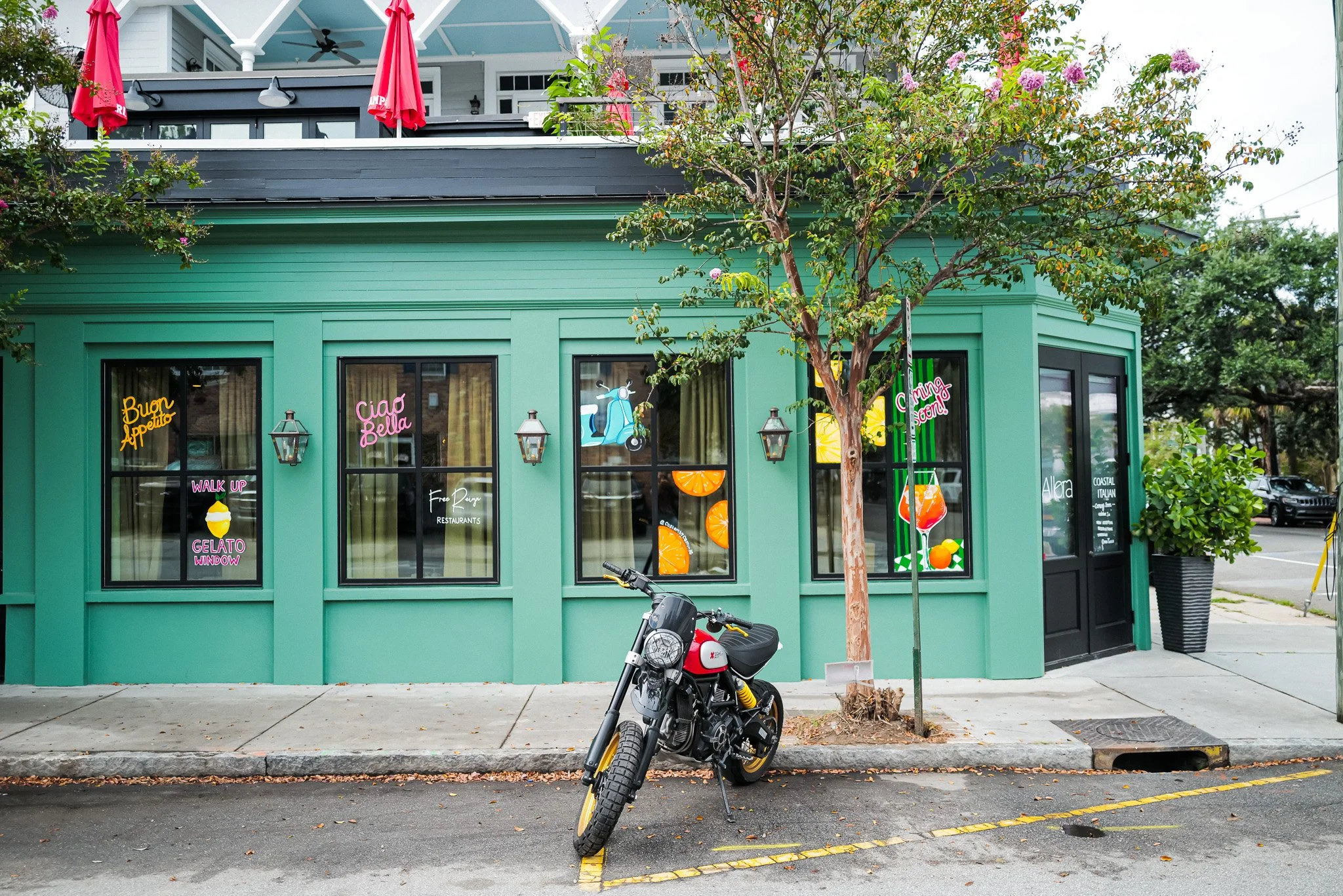 Cane Road x Allora_170.jpg