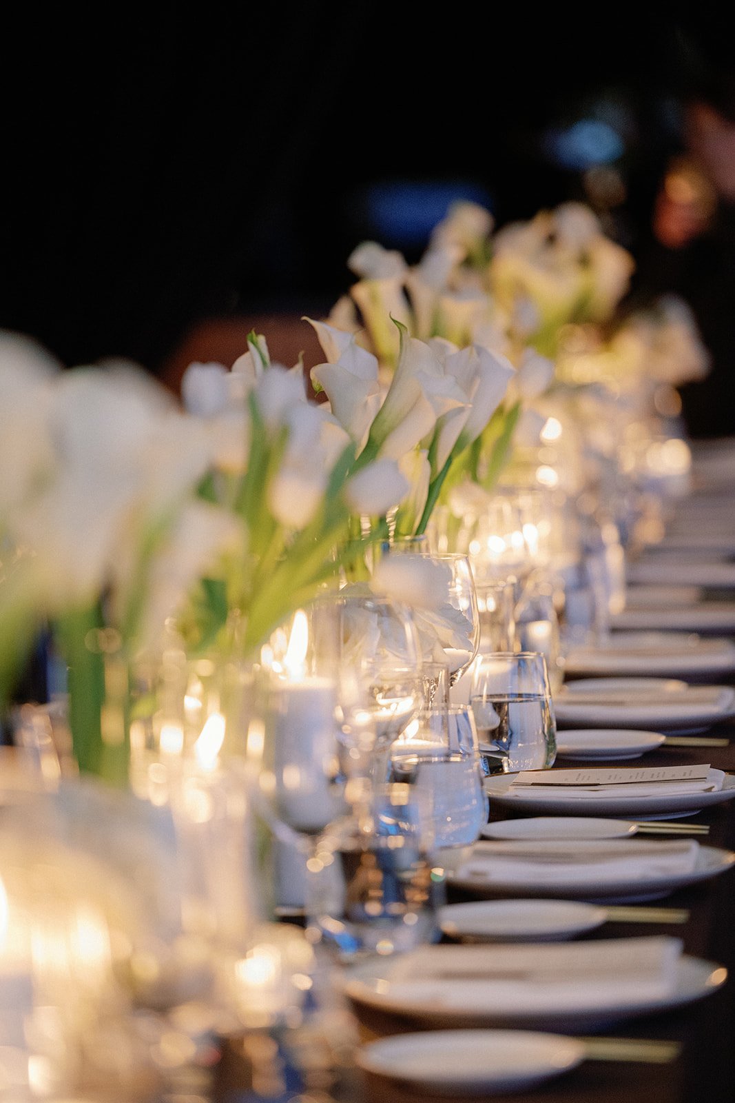 Copy of Caroline & David CANADA 023311.jpg