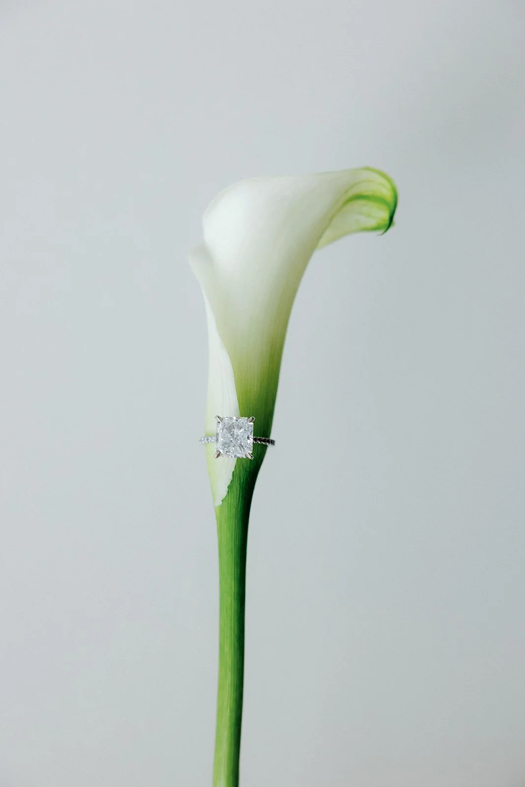 Copy of Caroline & David CANADA 011145.jpg