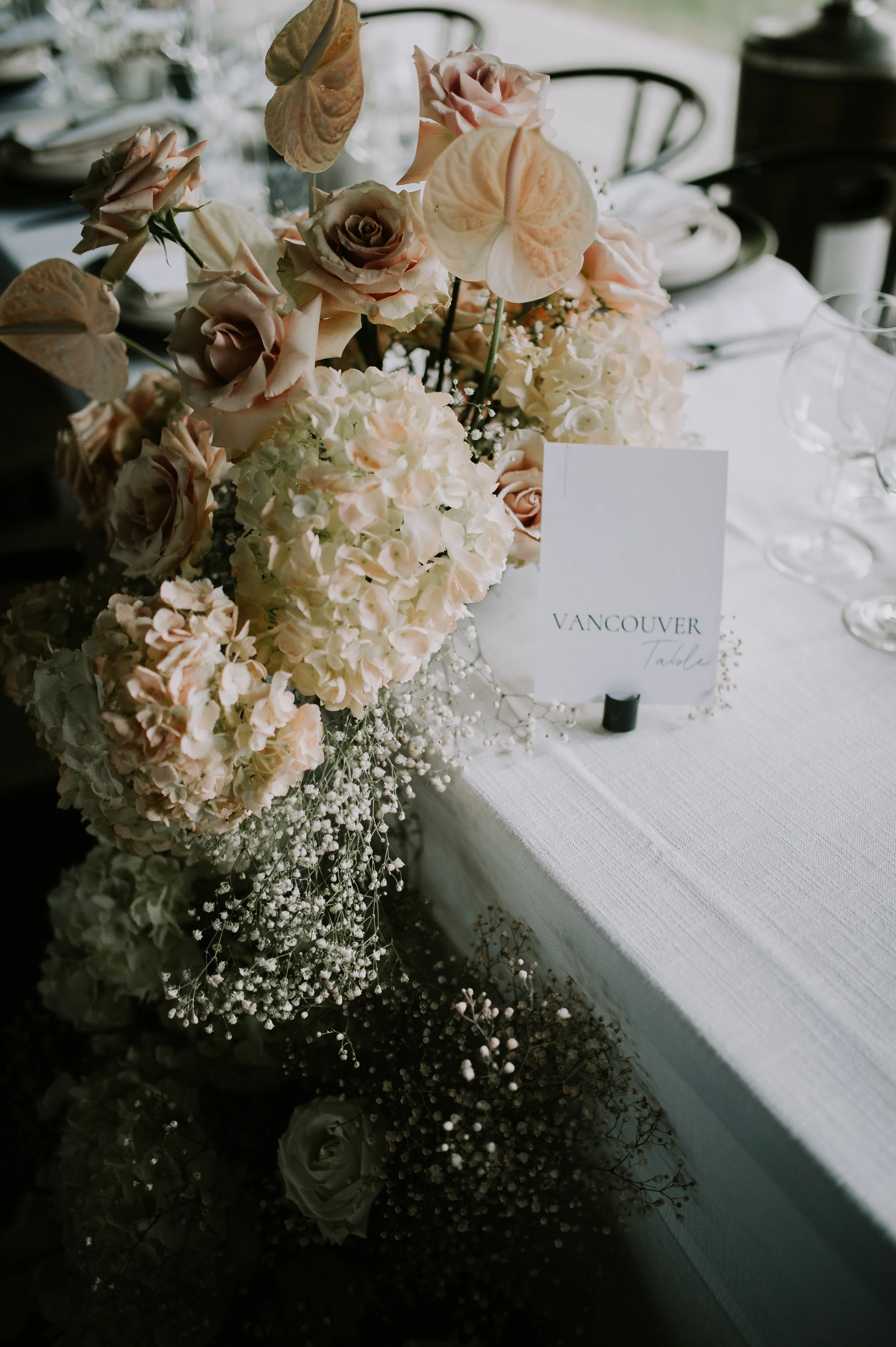 Copy of ARP_5031.jpg