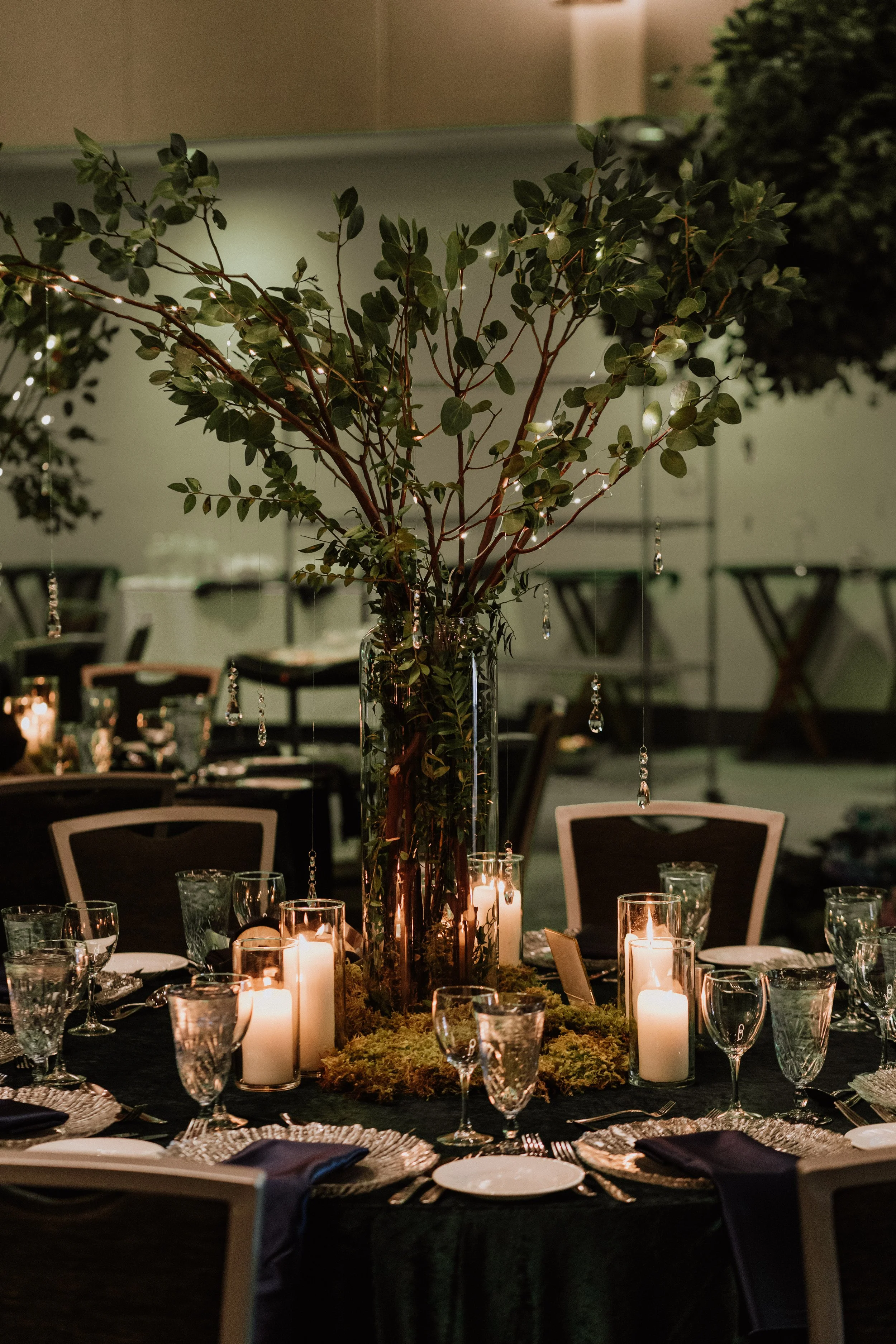 Bliss- Tara Lilly Photography_10.jpg