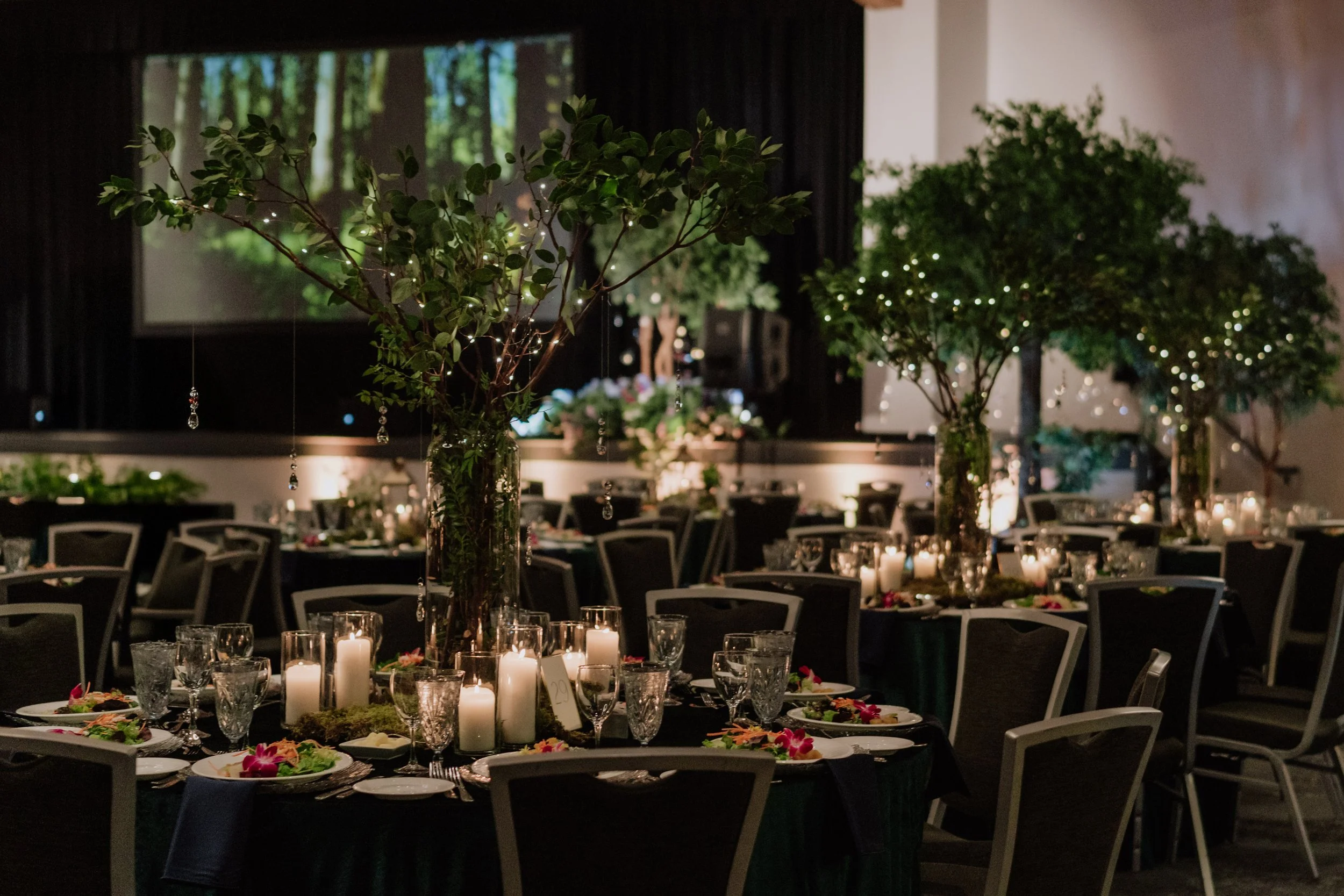 Bliss- Tara Lilly Photography_36.jpg