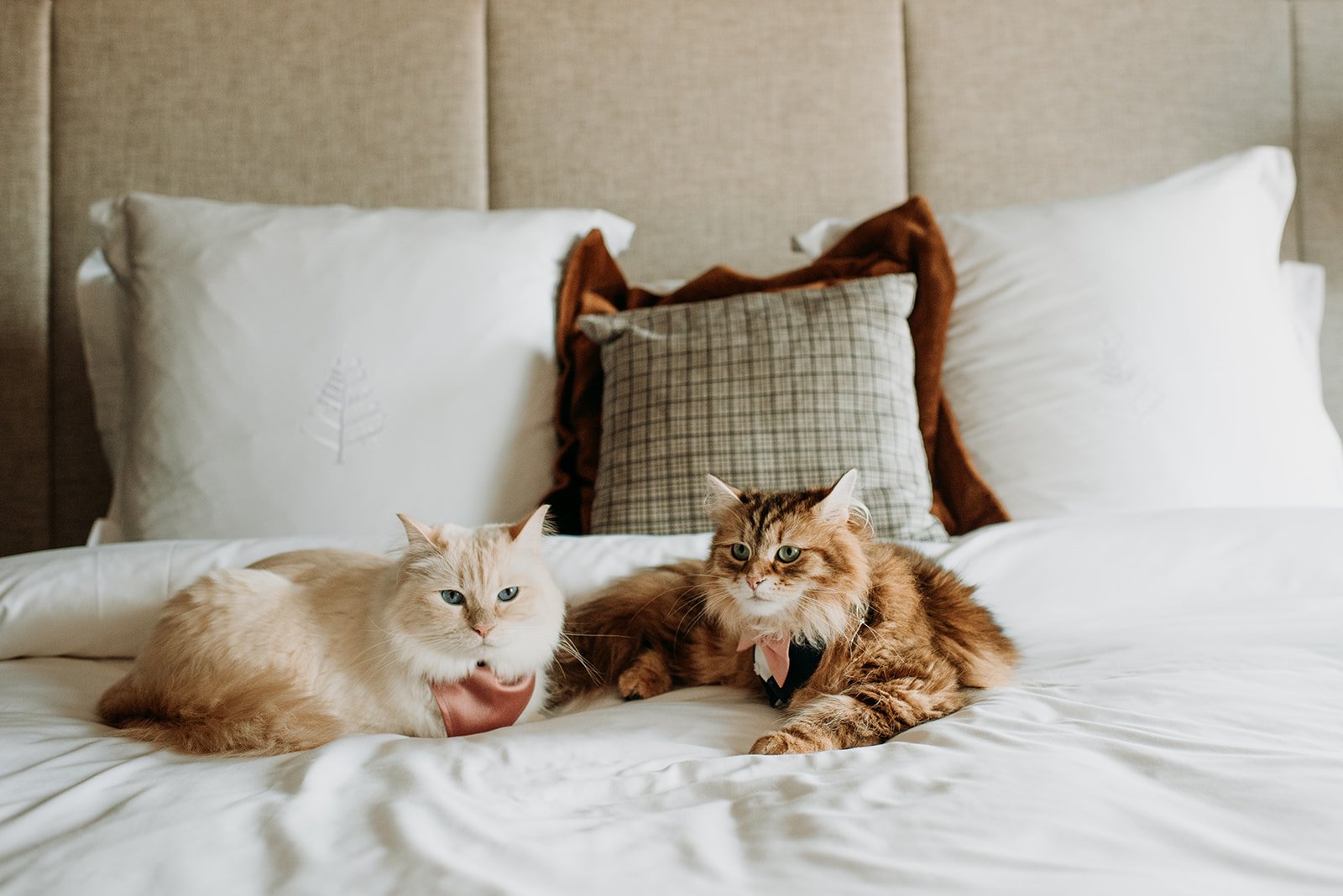 Copy of Gaby & Win Getting Ready (87 of 213).jpg