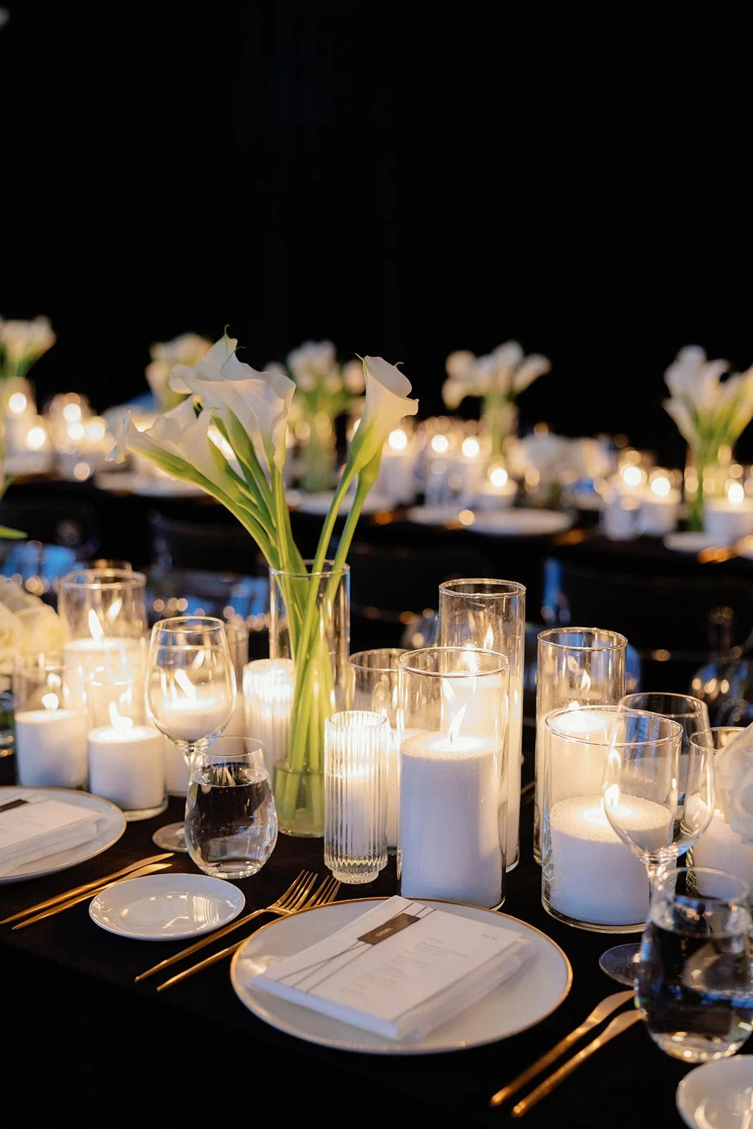 Copy of Caroline & David CANADA 023224.jpg