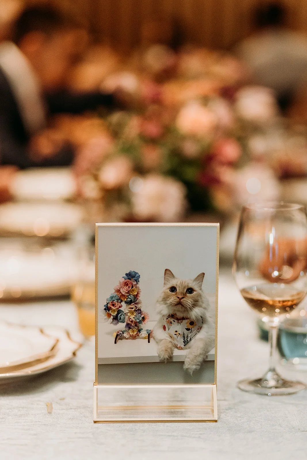 Copy of Highlights (111 of 133).jpg