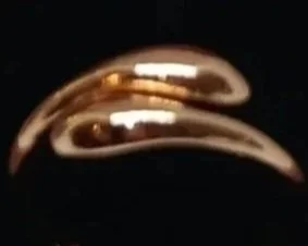 anillo%252B4.jpg