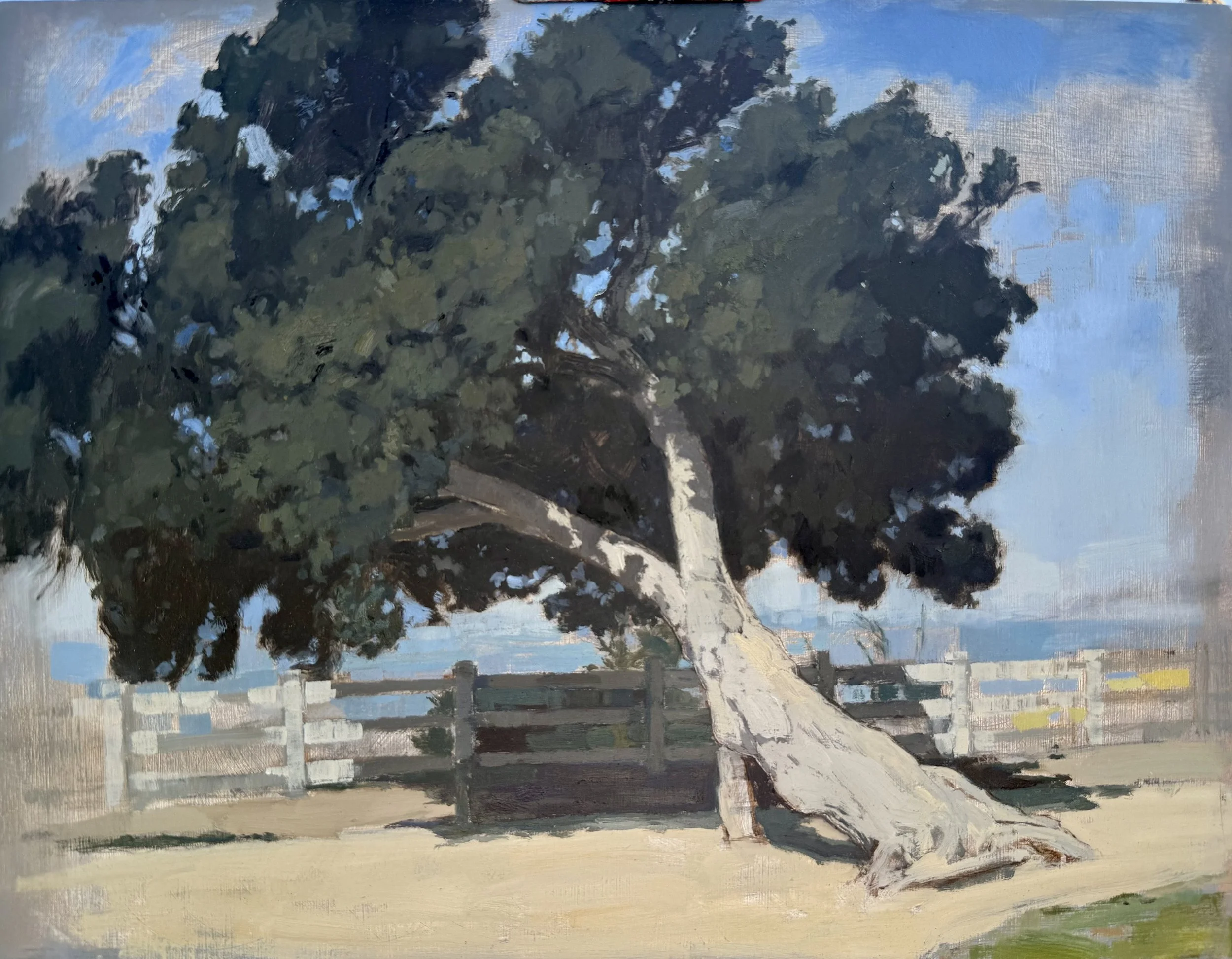 Bottlebrush: summertime 2025
Oil on board
11” x 14” SOLD