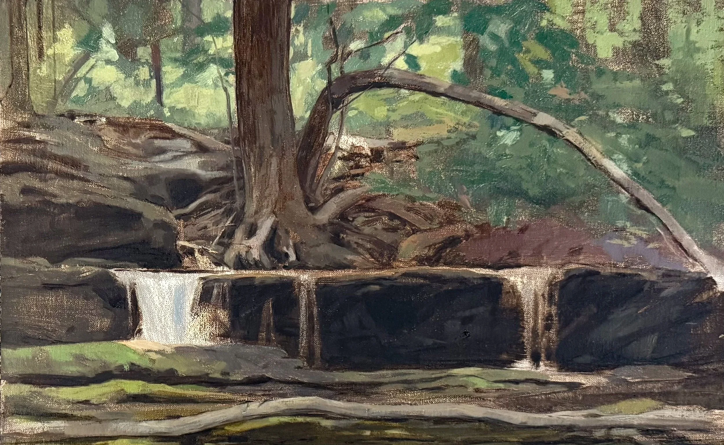 Woodland falls 2025
Oil on linen
8” x 12” 