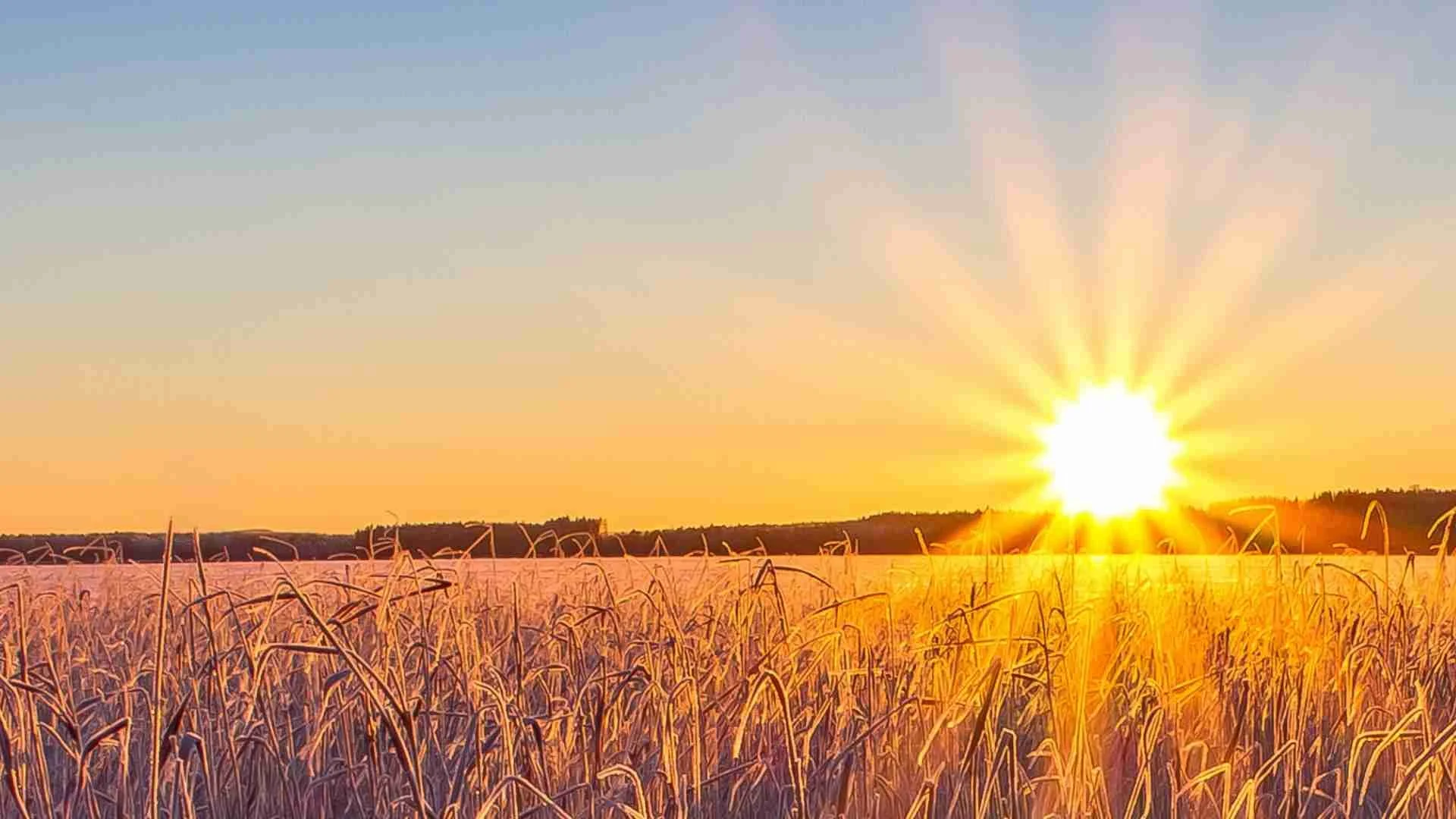 Born Again - This Moment