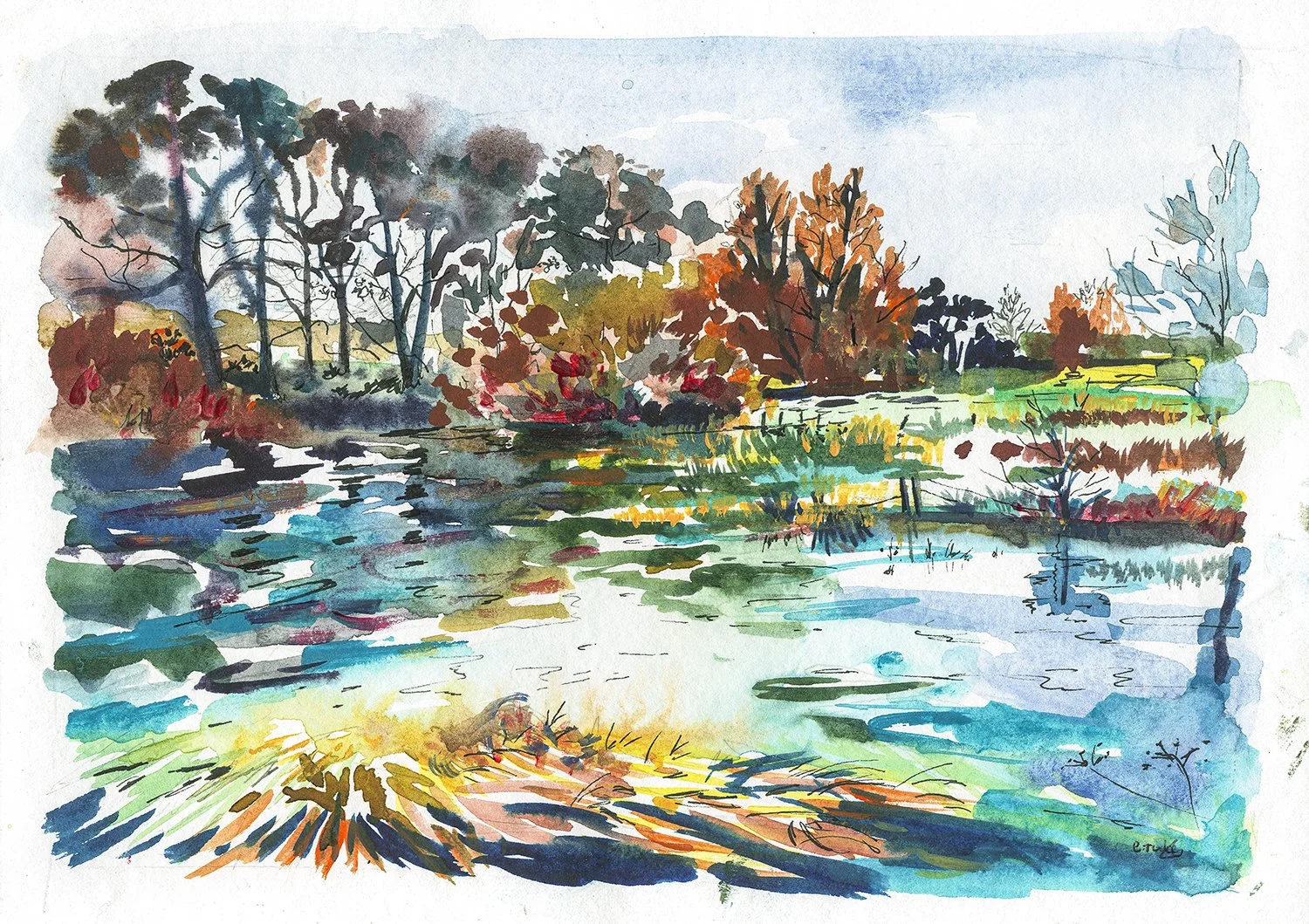 watercolour web ready.jpg