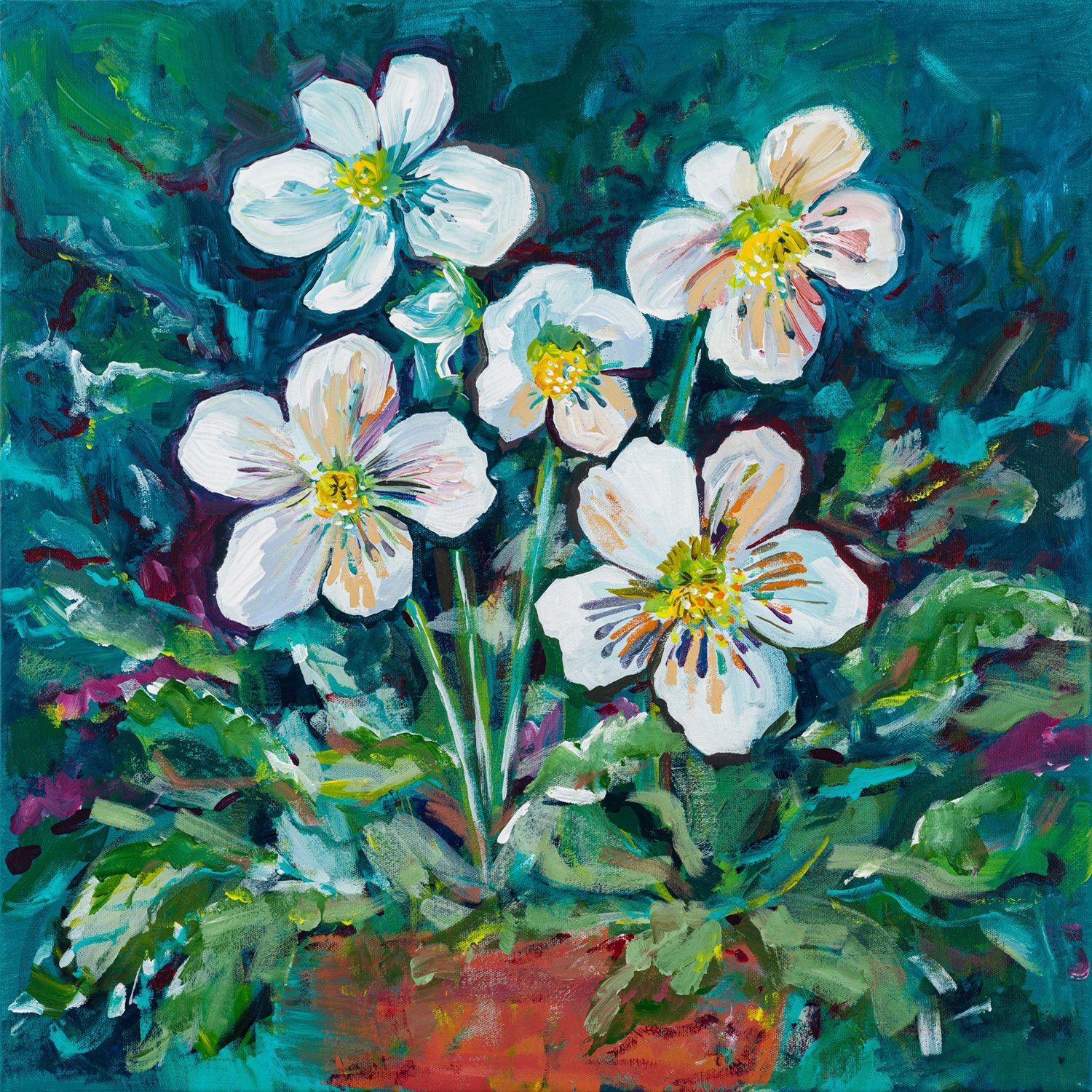Helleborus Giclee Art Print