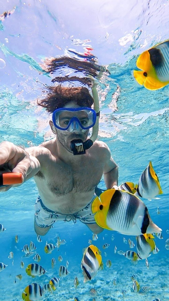 Snorkeling in Tahiti? Oui, merci! Say sea vous plaît to fishy new friends and crystal-clear waters. May-October is the best time to go…Summer’s waiting—and so is Steve le Poisson.”
#UnderTheSeaLevel #SeaVousPlaît
