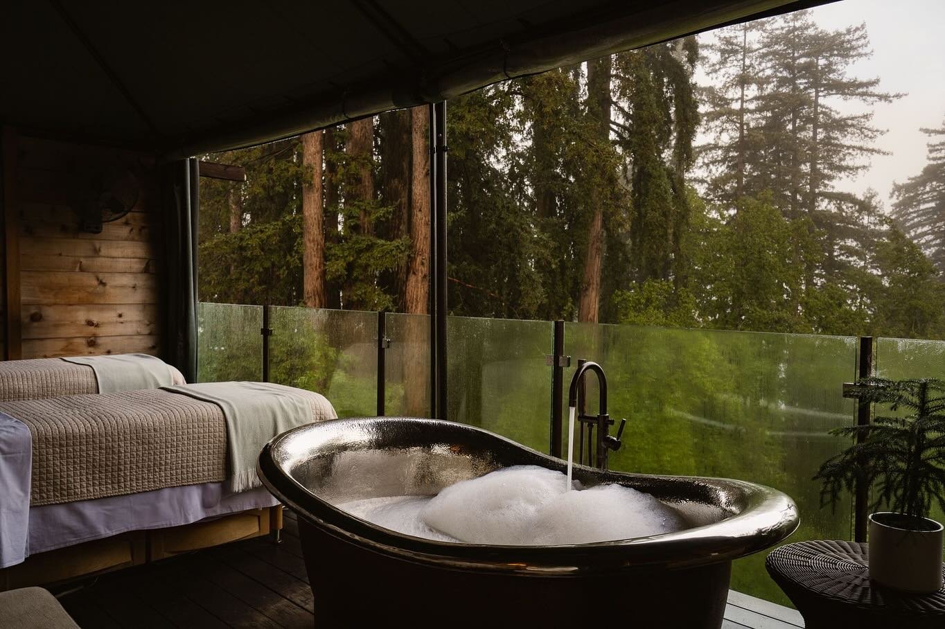The adults-only summer camp you didn’t know existed🌊: luxury in the redwoods, with incredible food, serious wine, and just enough magic to reset your whole system.
Big Sur has always pulled in seekers, mystics, and artists, and science backs