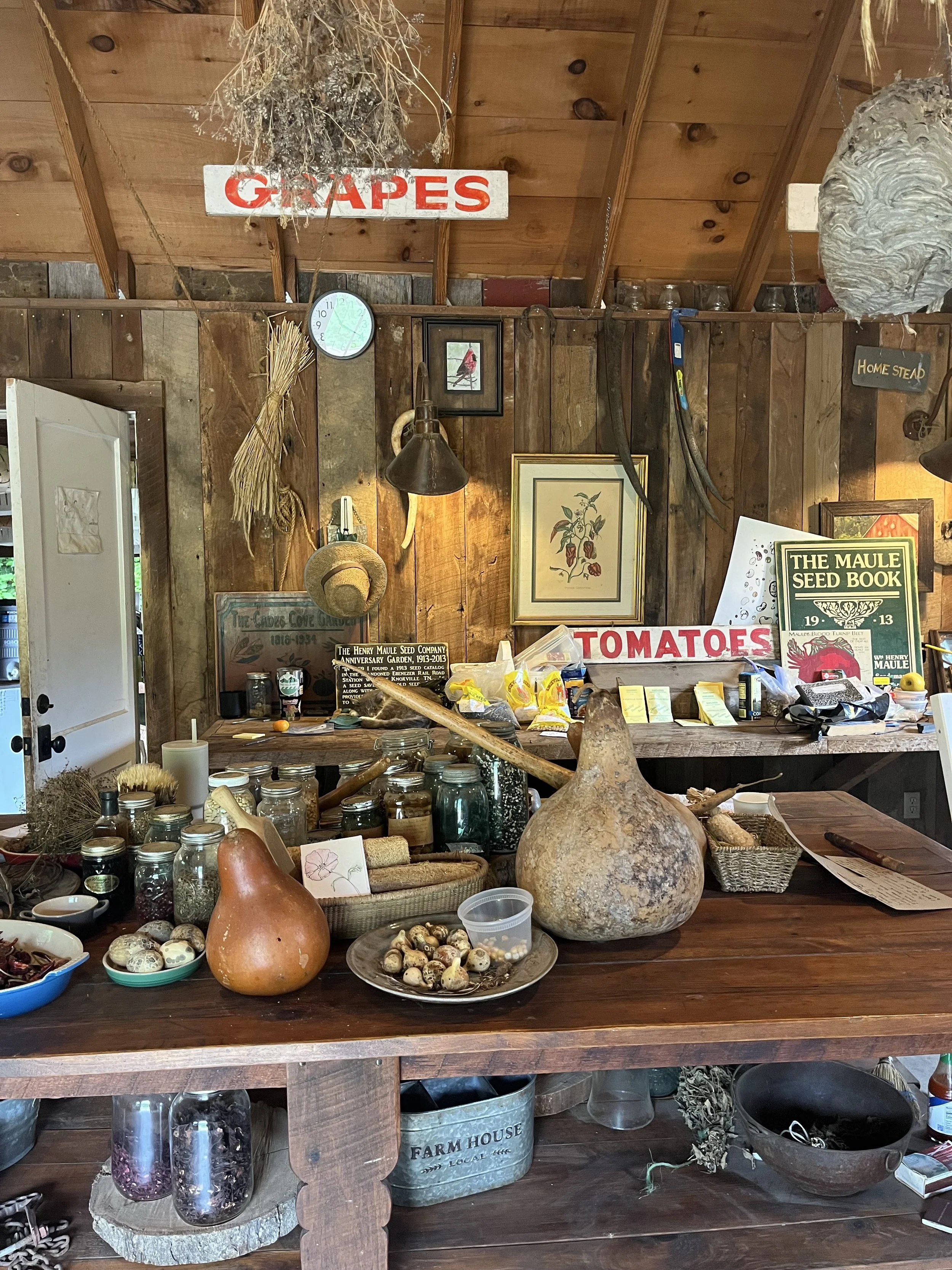 Farmstead at Blackberry Farm with dairy barn and farm animals, Walland Tennessee