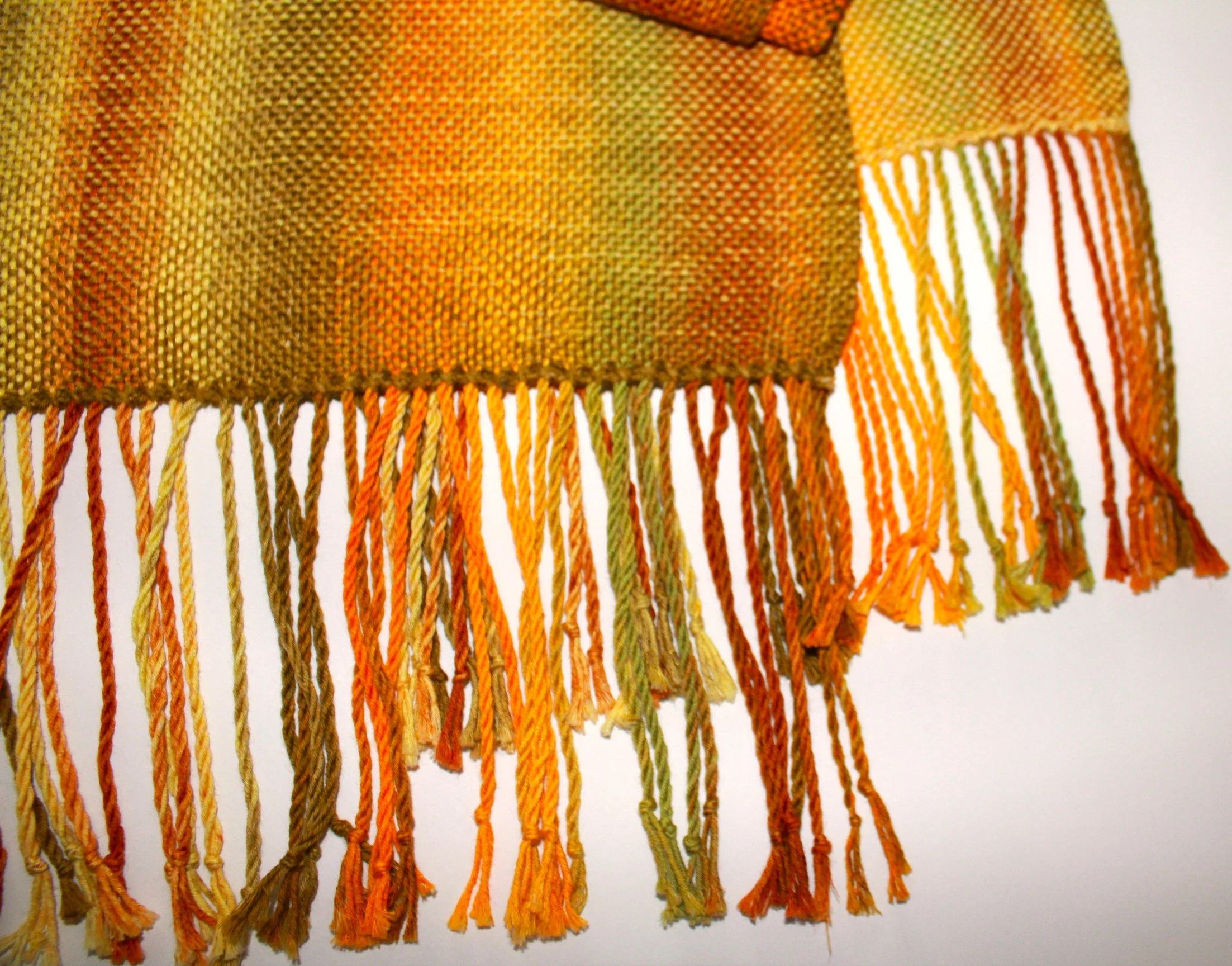 SUNLIT FOREST (1).JPG