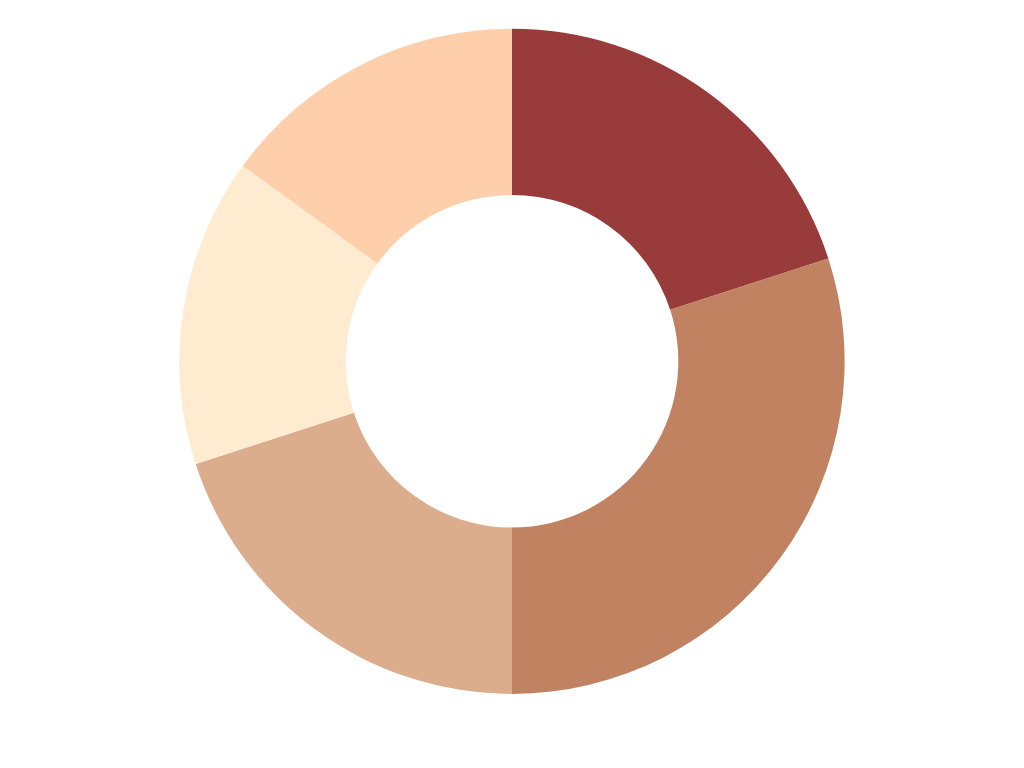 A donut chart showing different categories of work effort percentages. The segments include 20% Internal & External Communication, 30% of Digital & Community Engagement, 20% Content & Visual Strategy, 15% Product & Campaign Development, and 15% Performance & Optimisation.