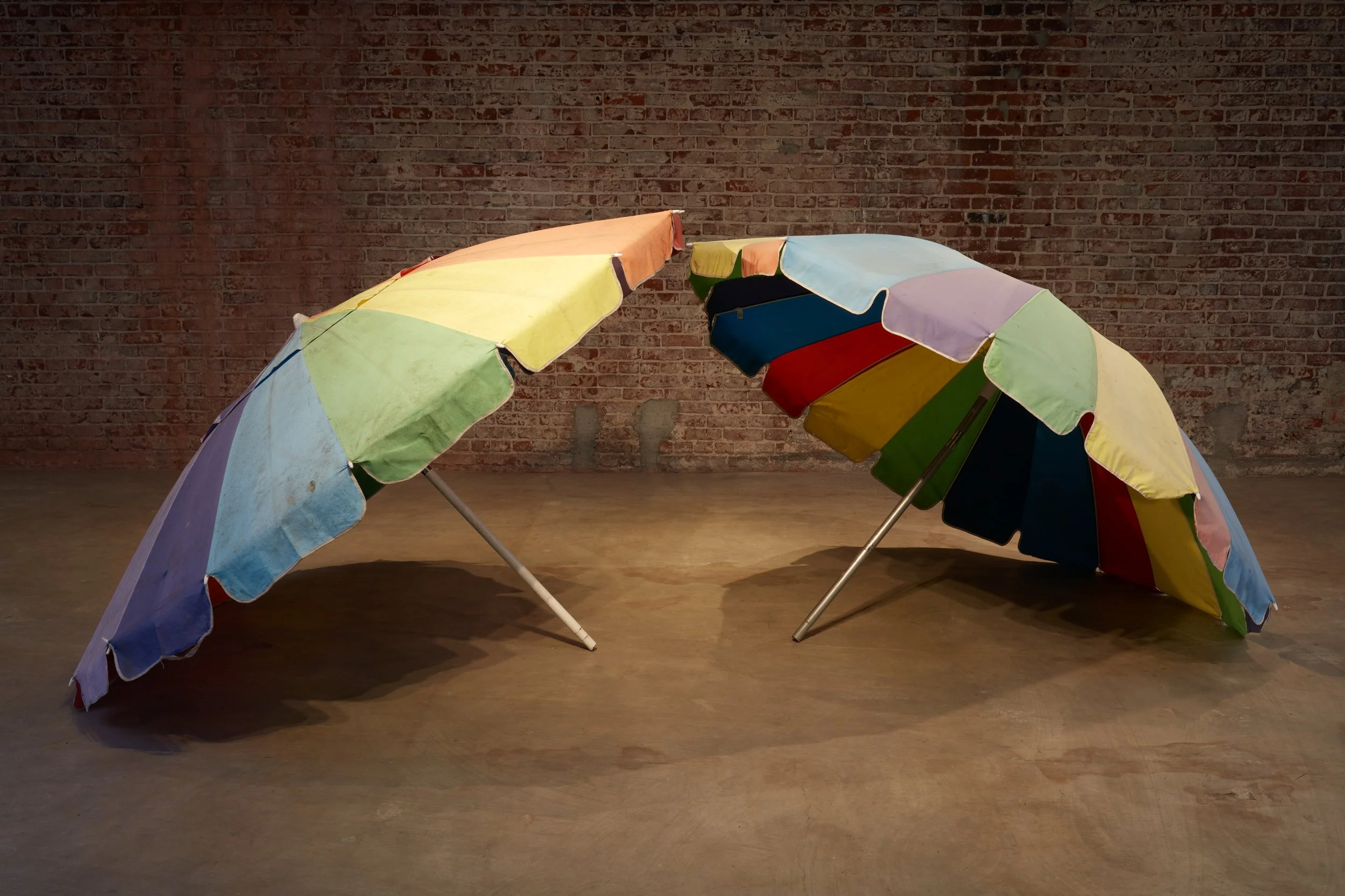 Garden Song_35392.jpeg