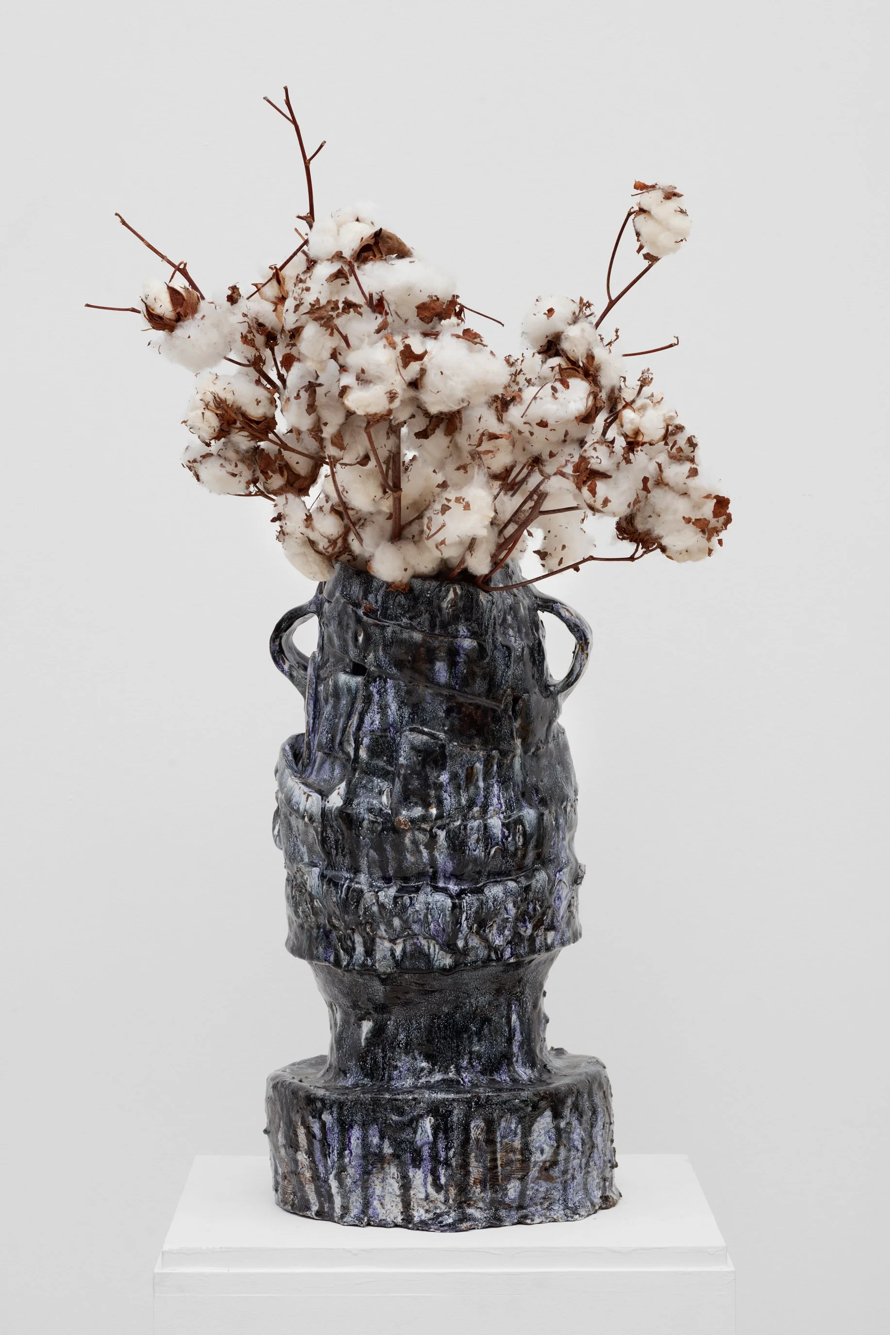 Garden Song_35476.jpeg