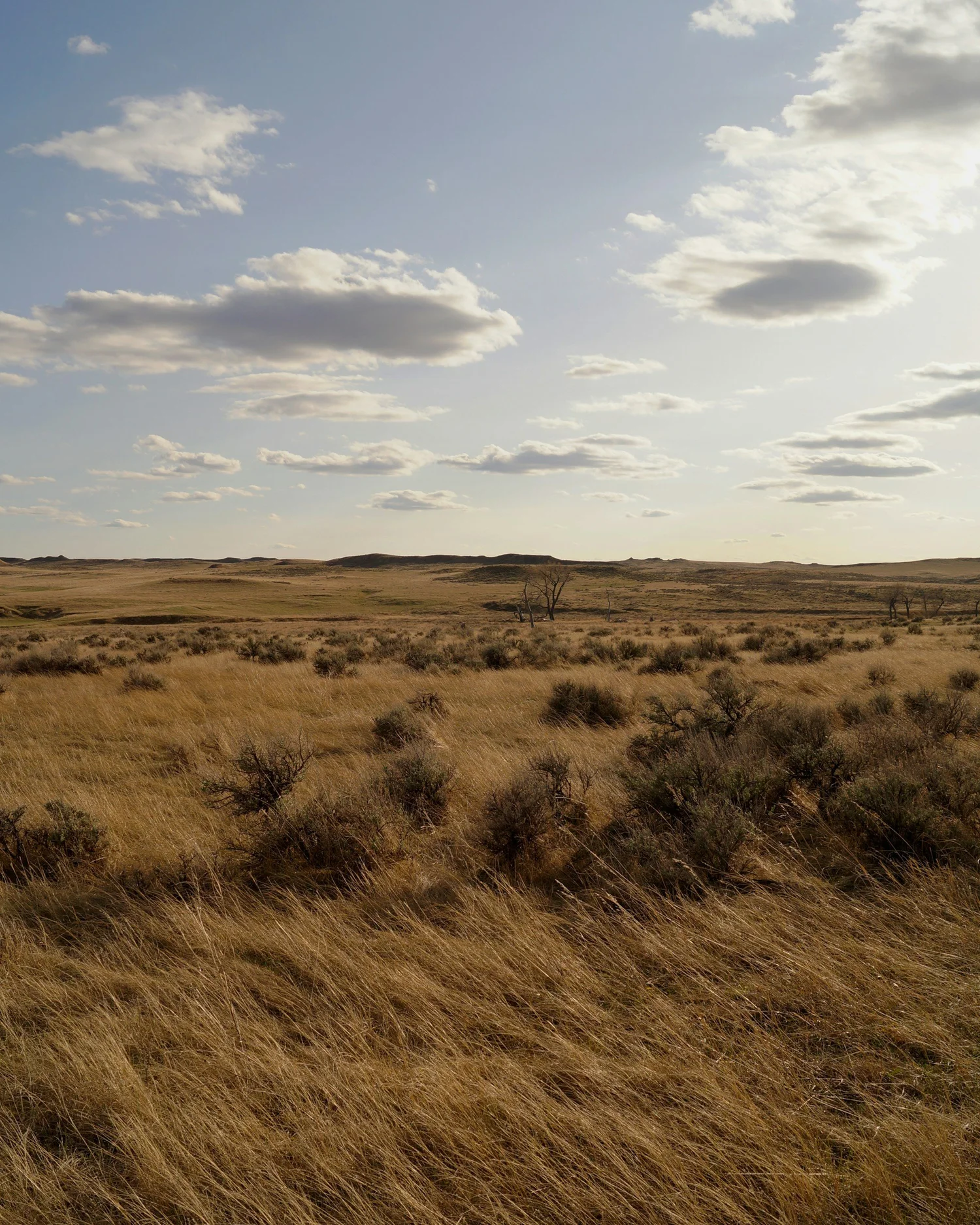 High Plains Conservation District