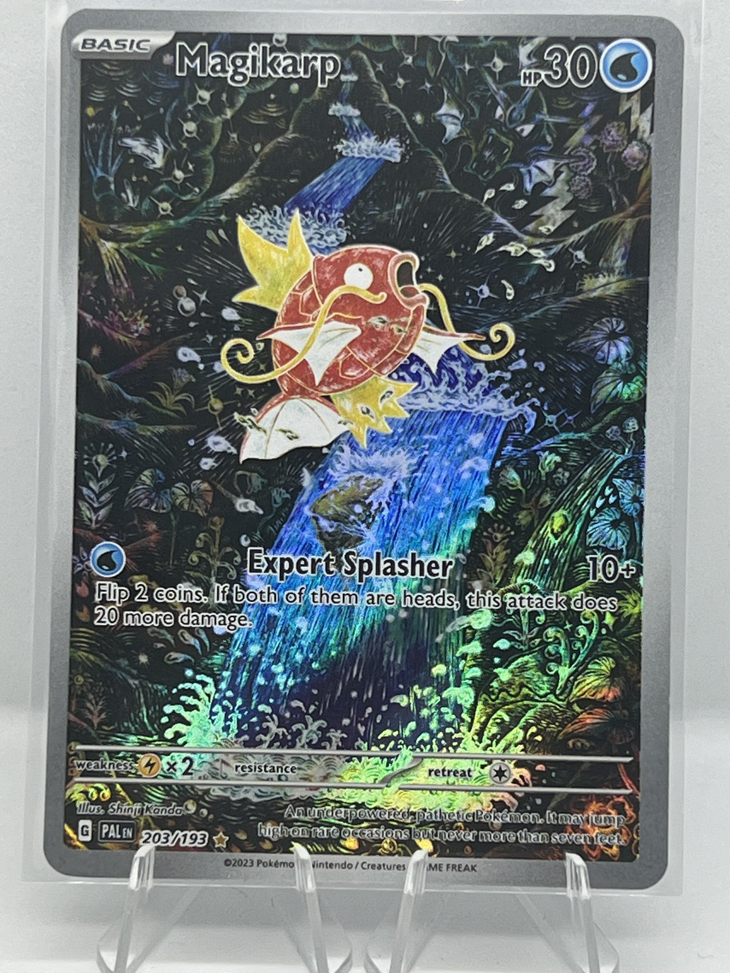 MagikarpFront.jpg