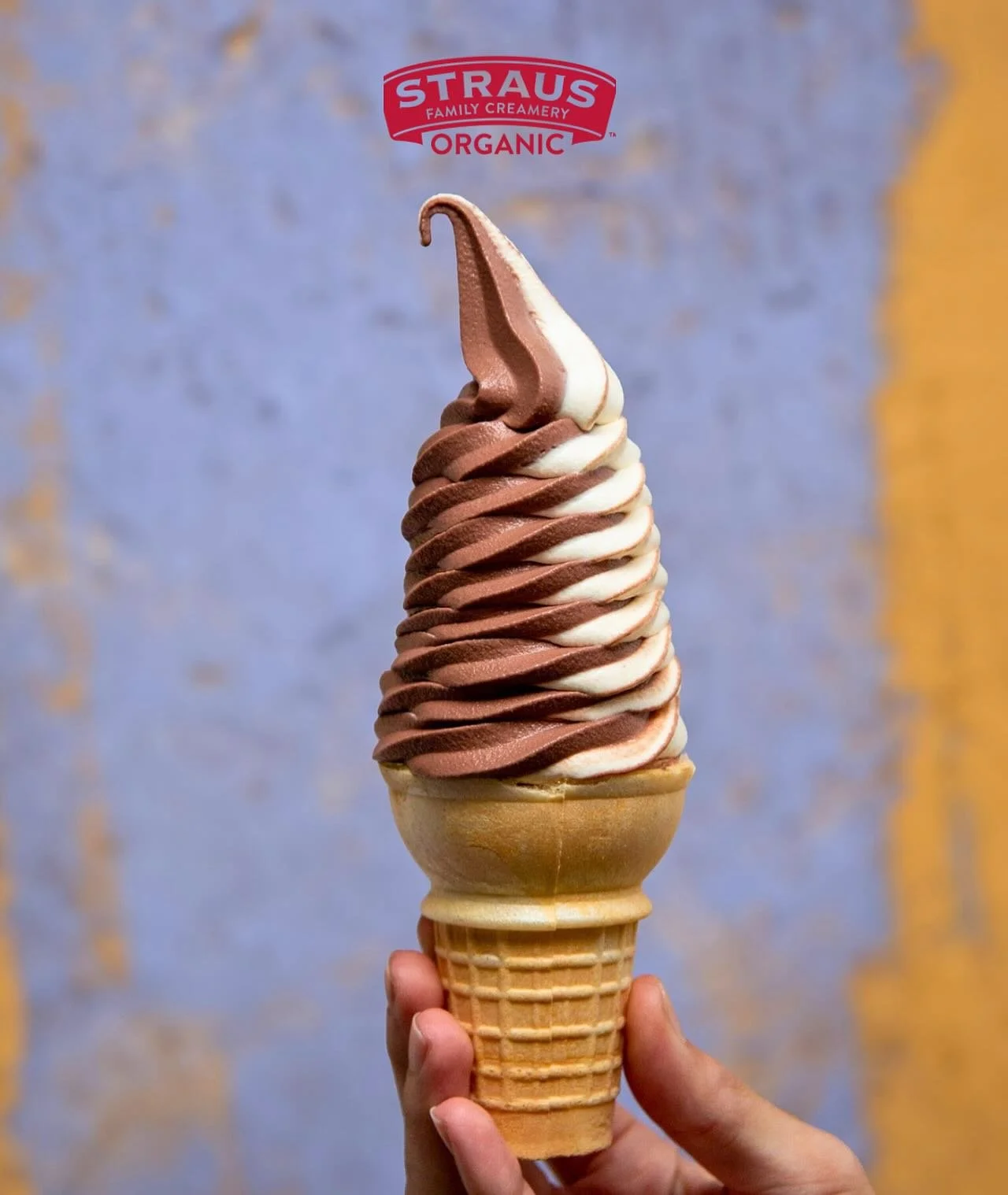Good day for a soft-serve &hellip;.Straus organic creamery! @strausmilk #softserve 🍦