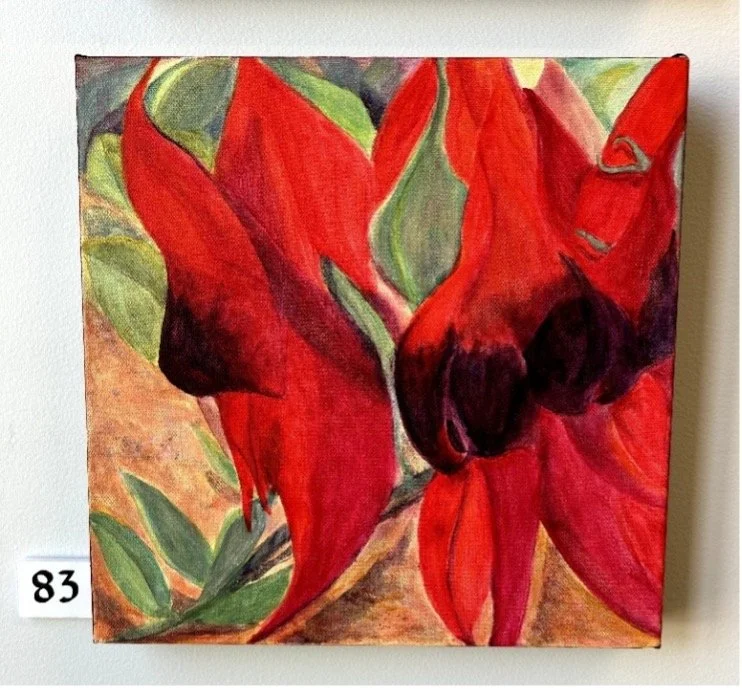 Desert Pea 