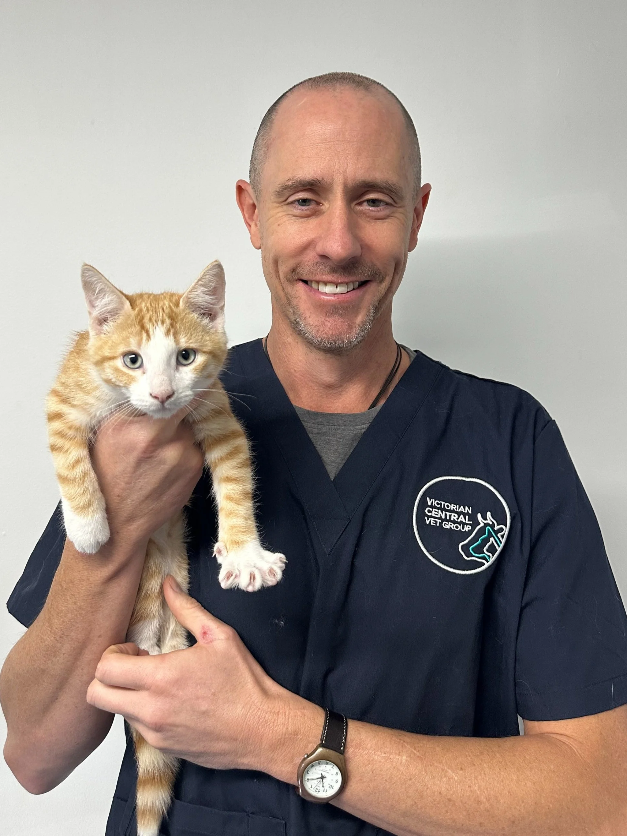 Man in veterinary uniform holding a ginger tabby kitten, smiling.
