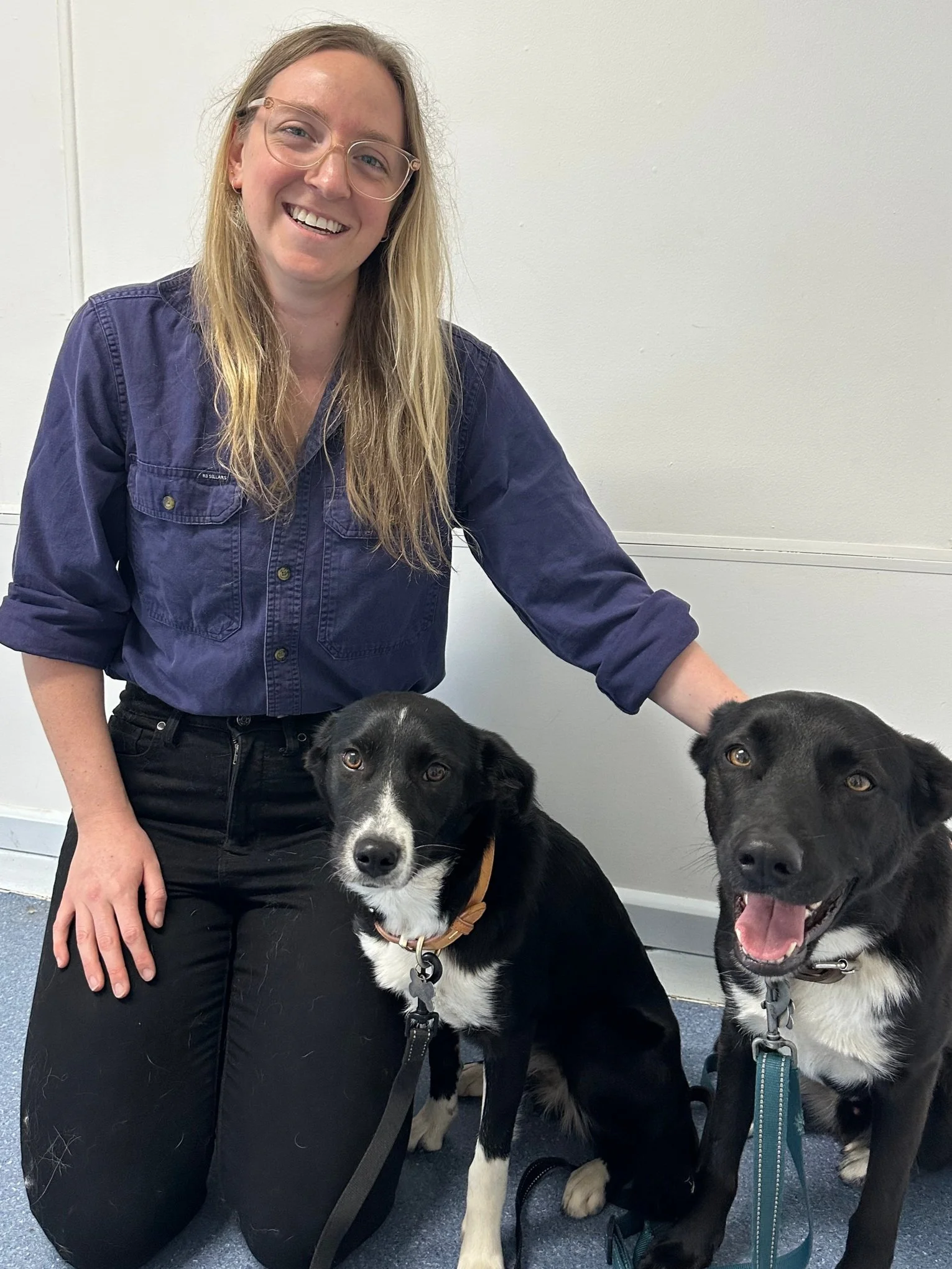 Person smiling with two black and white dogs indoors
