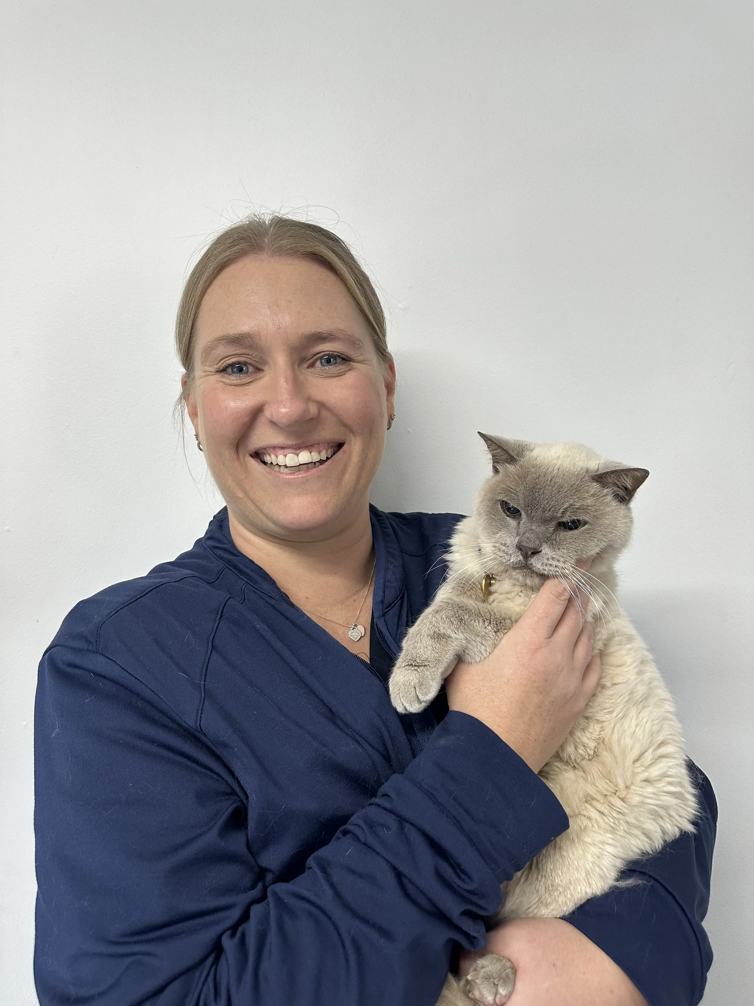Smiling person in navy blue top holding a fluffy Siamese cat.