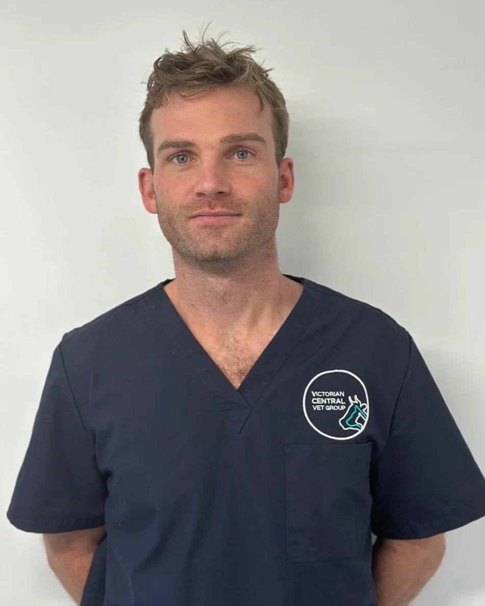 Man wearing navy scrubs with "Victorian Central Vet Group" logo, standing against a white background.